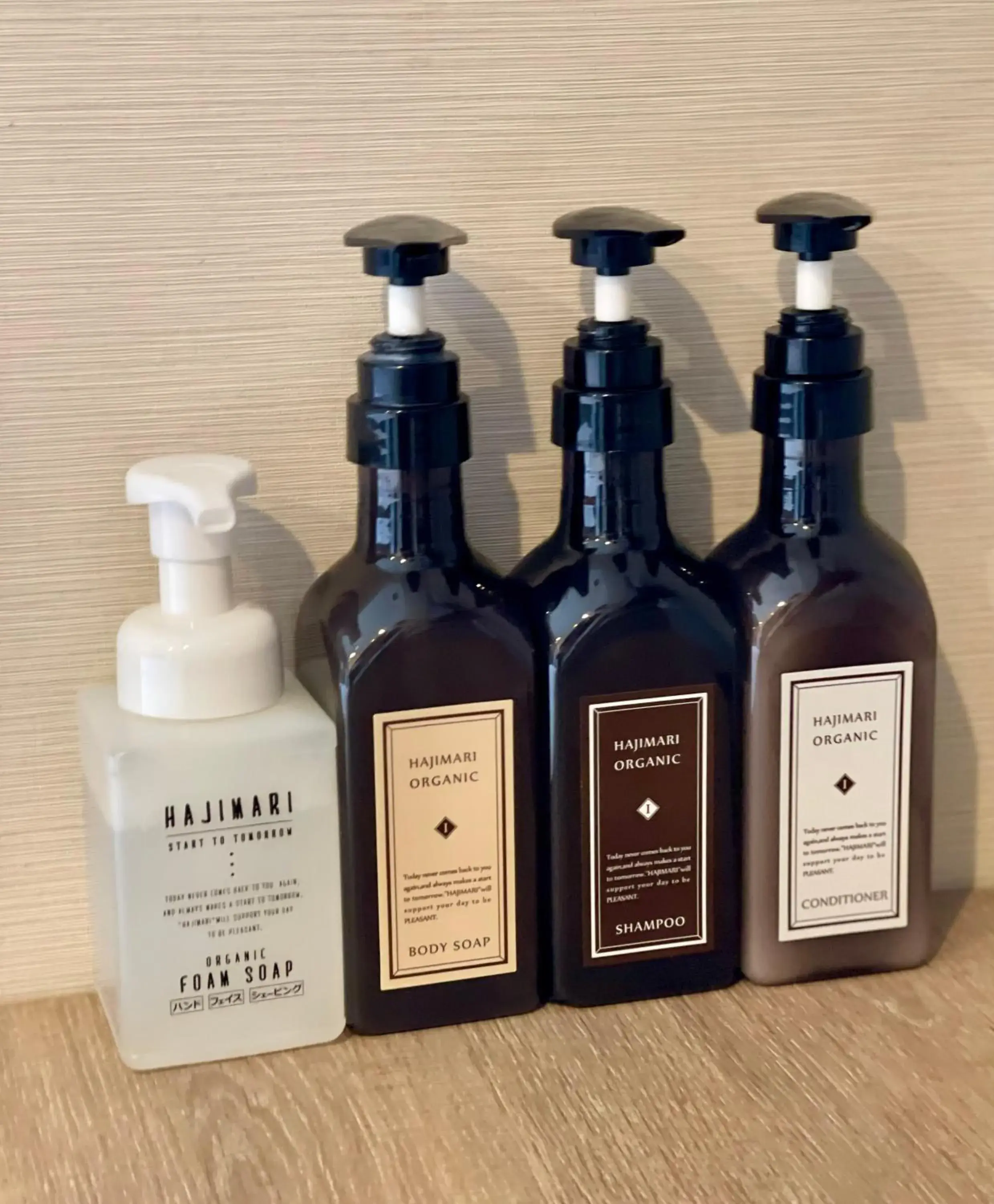 Concept Room A in Henn na Hotel Tokyo Nishikasai Concept Room A in Henn na Hotel Tokyo Nishikasai