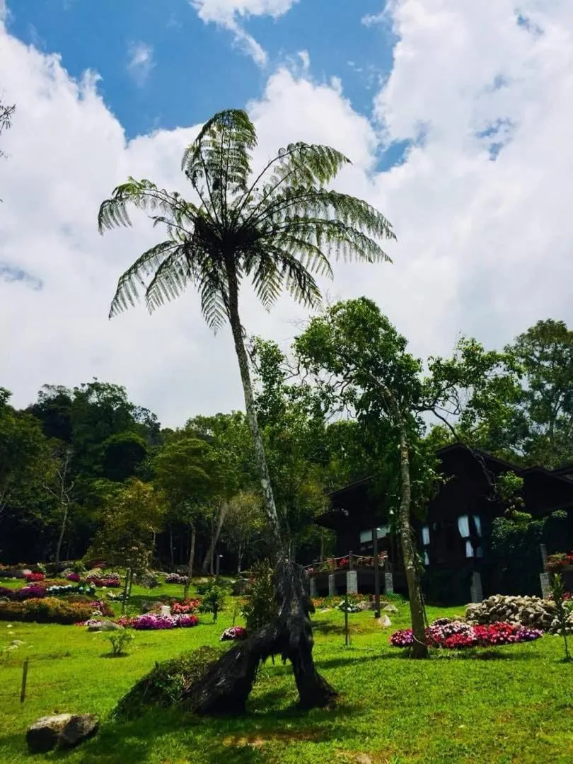 Spring Garden