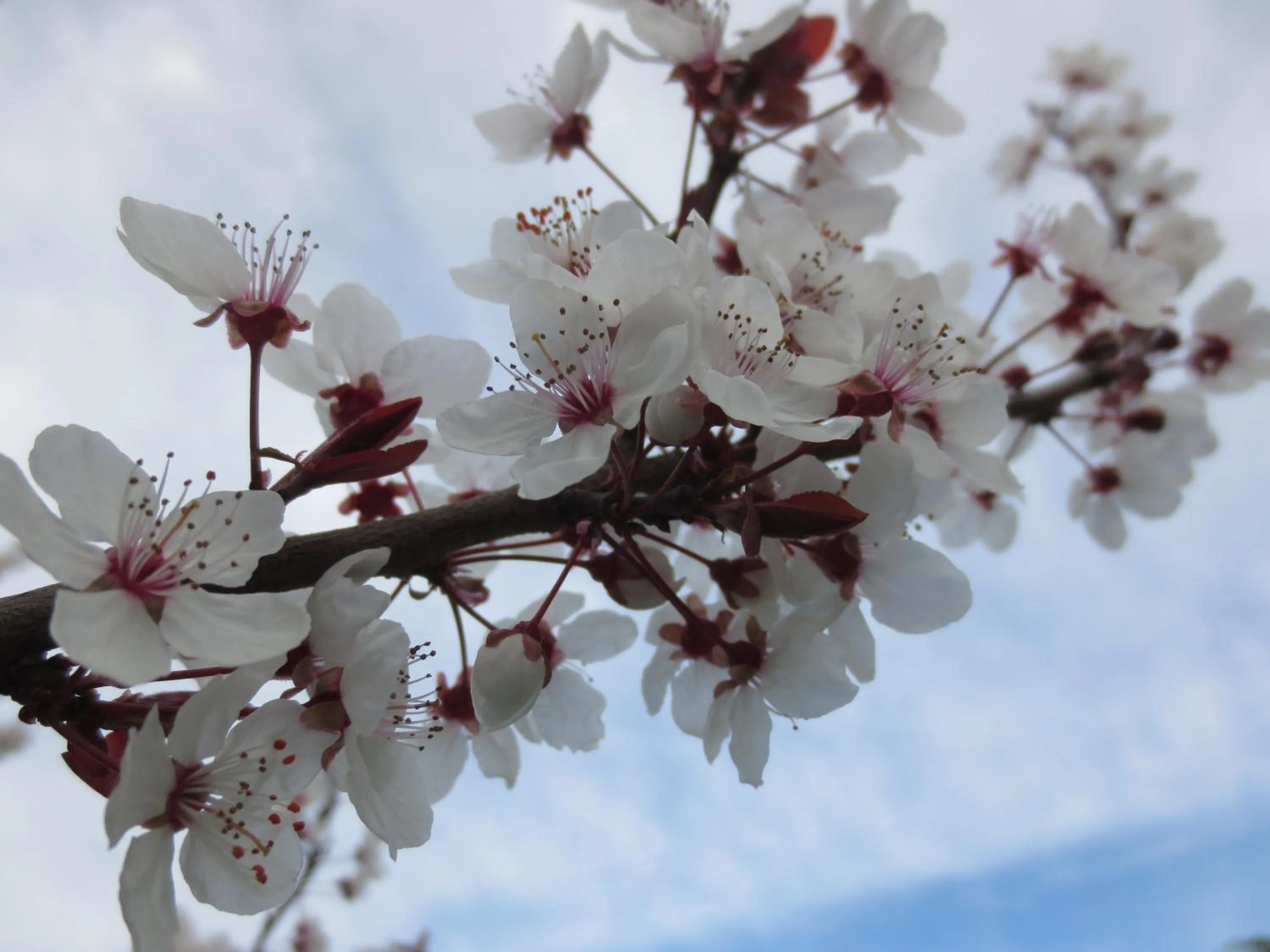 Other in Hotel Krone