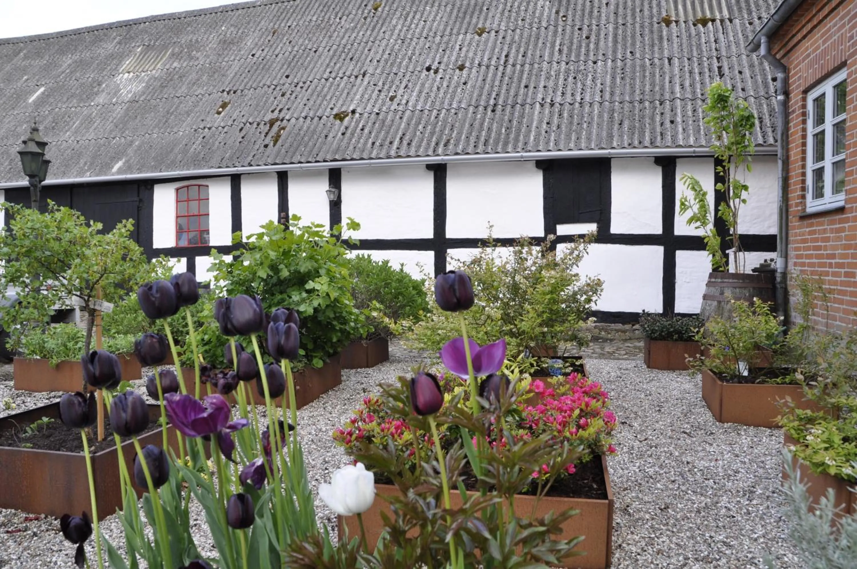 Garden in Lundsgaard Bed & Breakfast