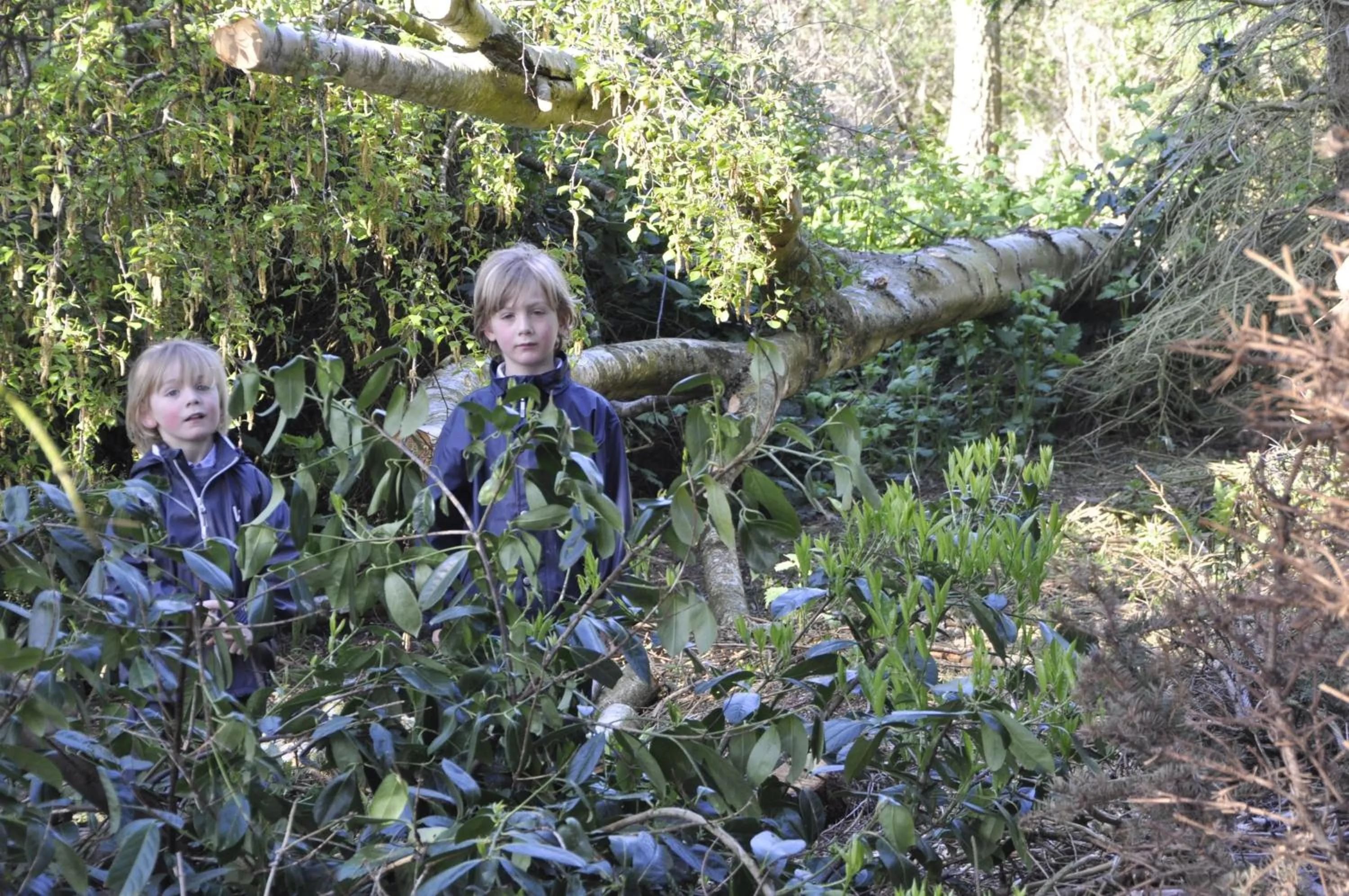 young children in Lundsgaard Bed & Breakfast