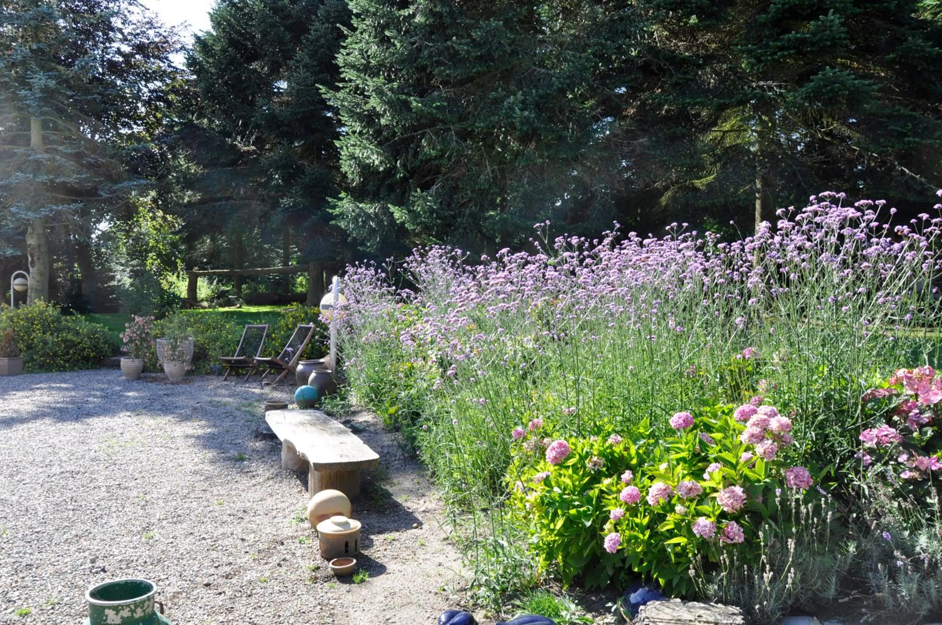 Garden in Lundsgaard Bed & Breakfast