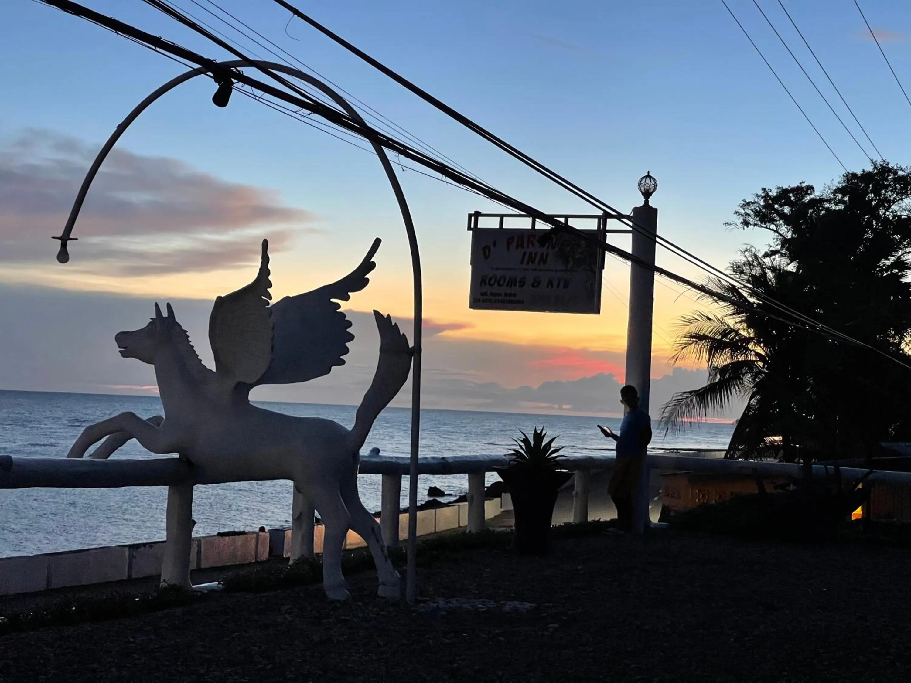 Natural landscape in D' Partner's Inn