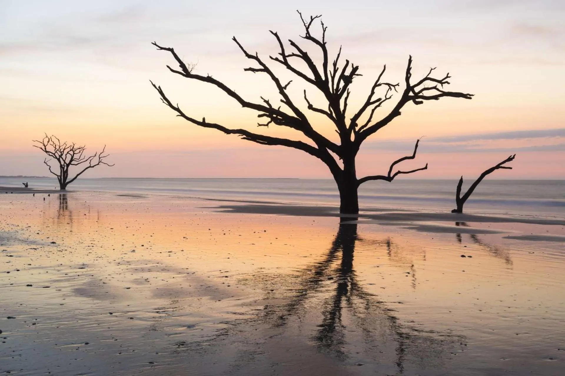 Sweet Spacious Suite