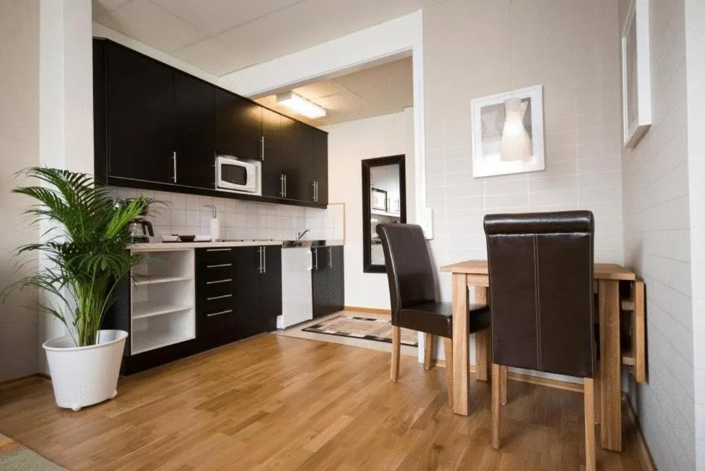 Kitchen or kitchenette in Stay Apartment Hotel