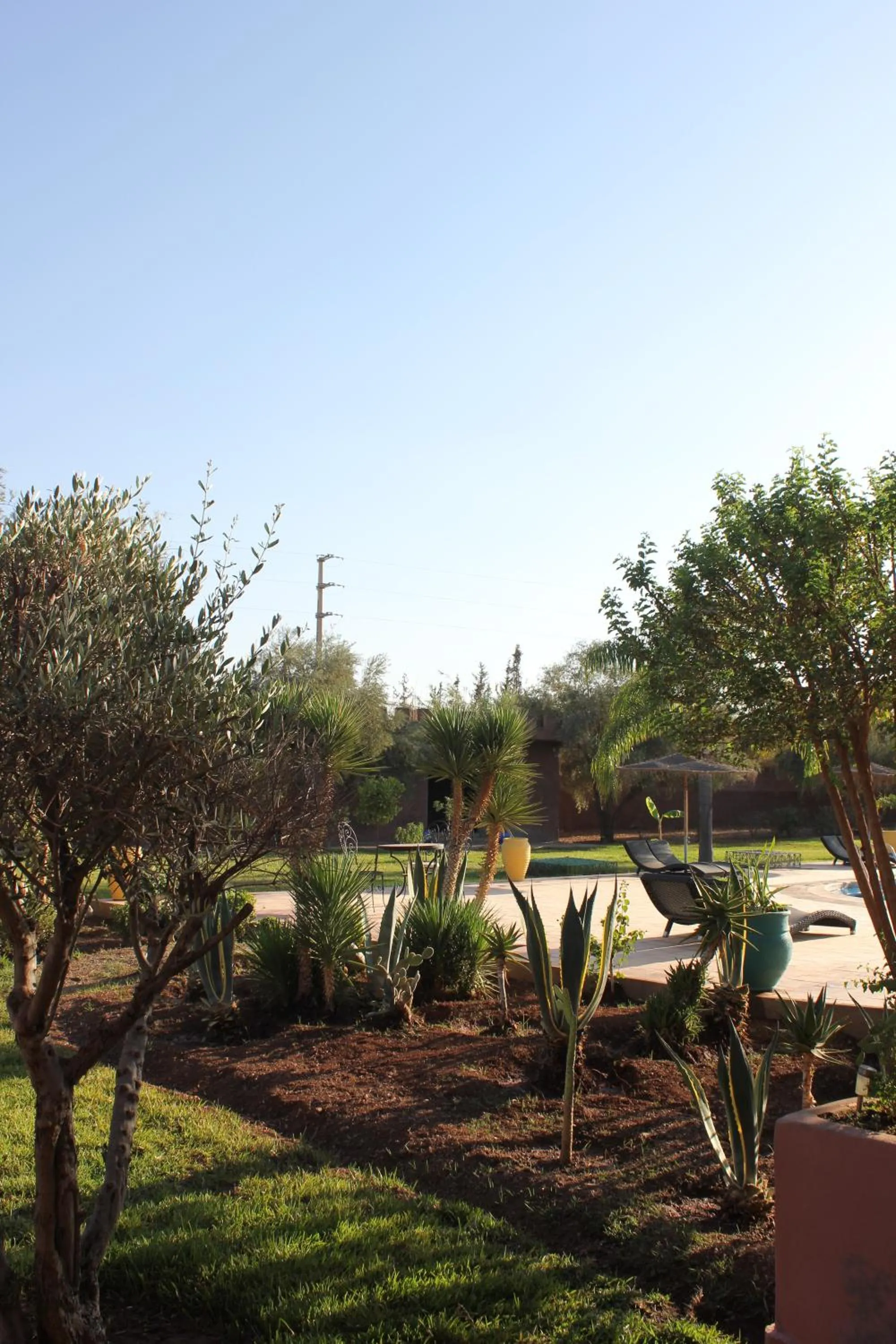Garden in Palais Riad Berbère