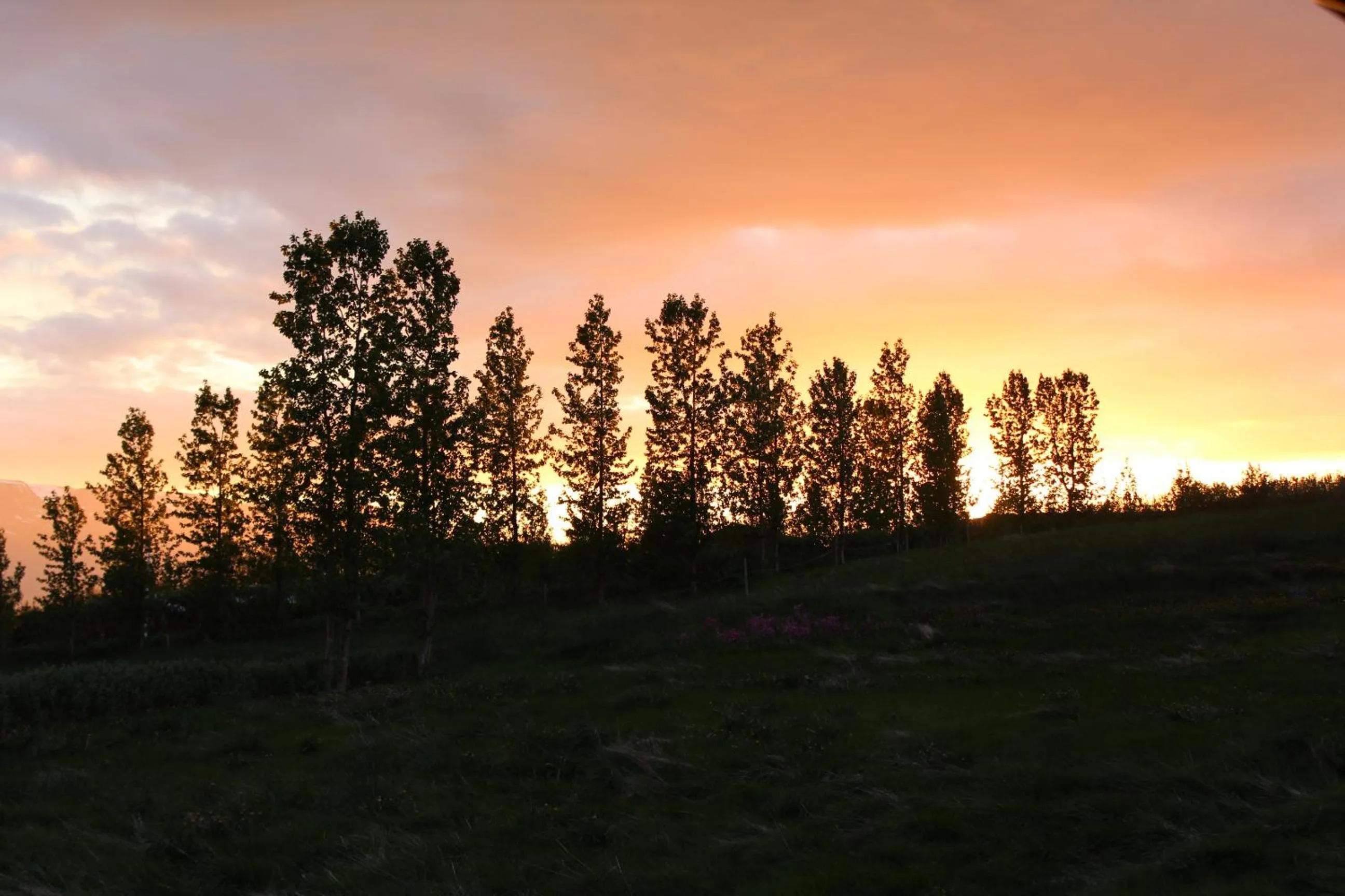 View (from property/room) in Akureyri Log Cottage