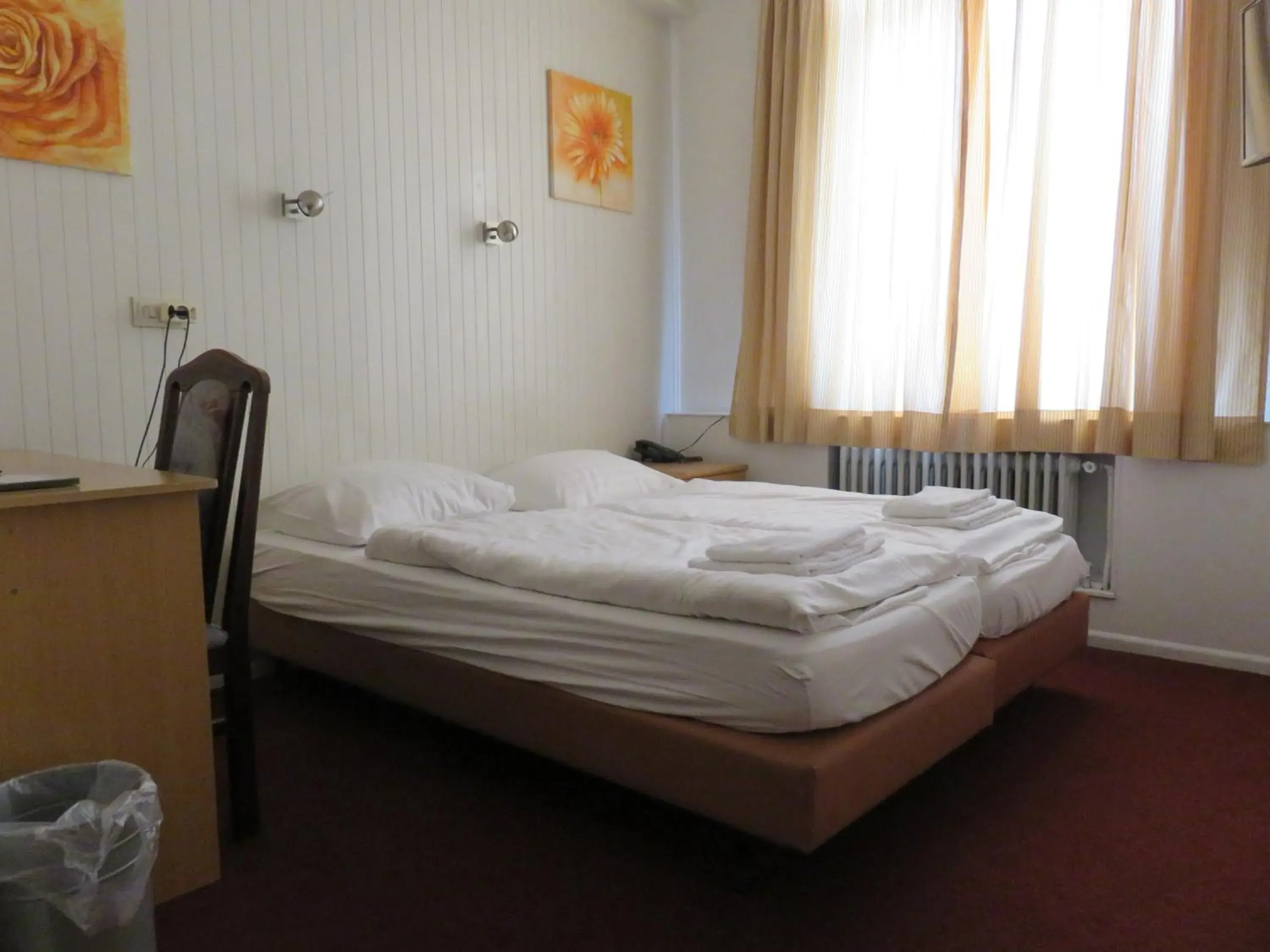 Double Room - single occupancy in Hotel American Double Room - single occupancy in Hotel American