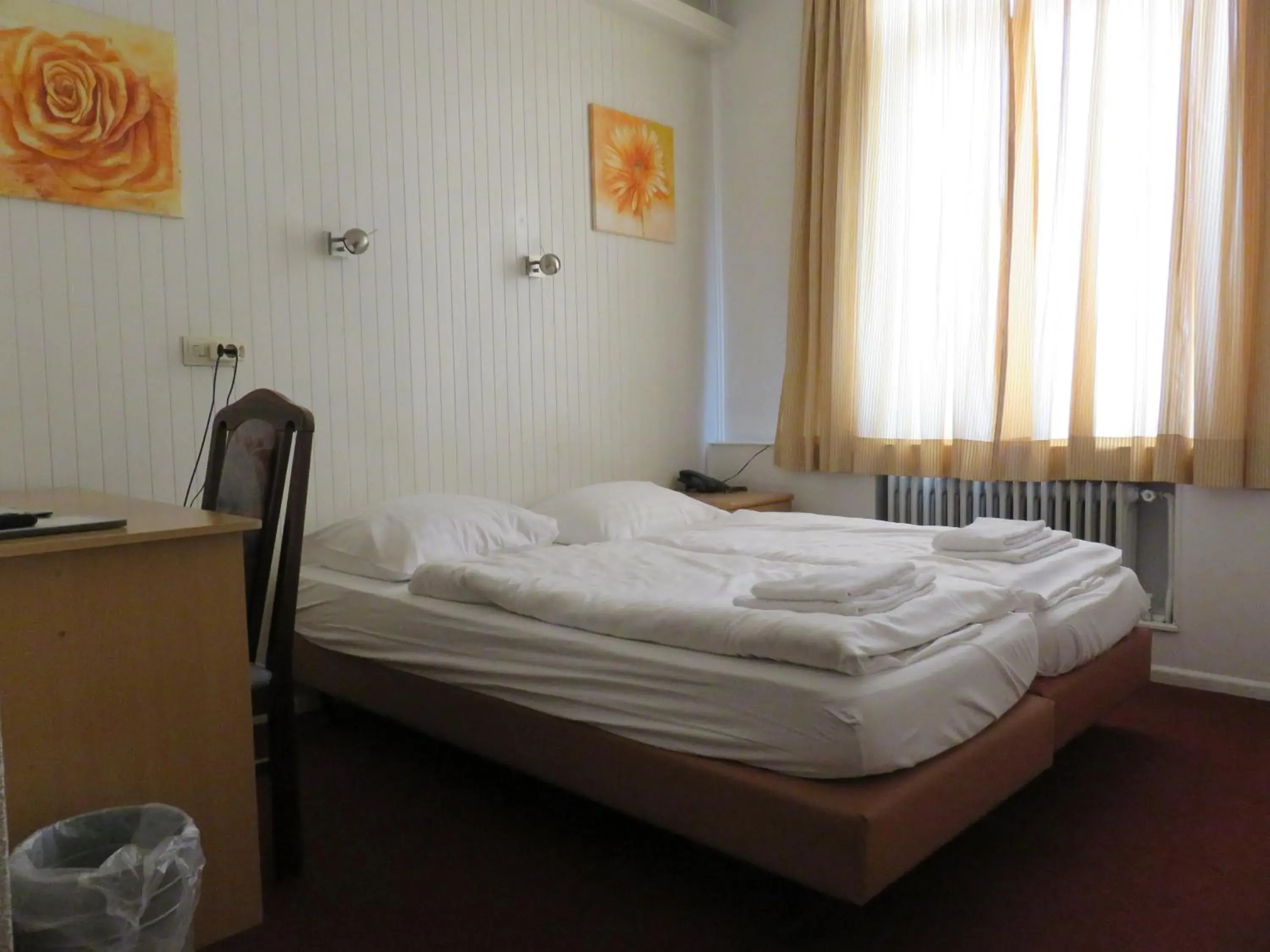 Double Room - single occupancy in Hotel American Double Room - single occupancy in Hotel American