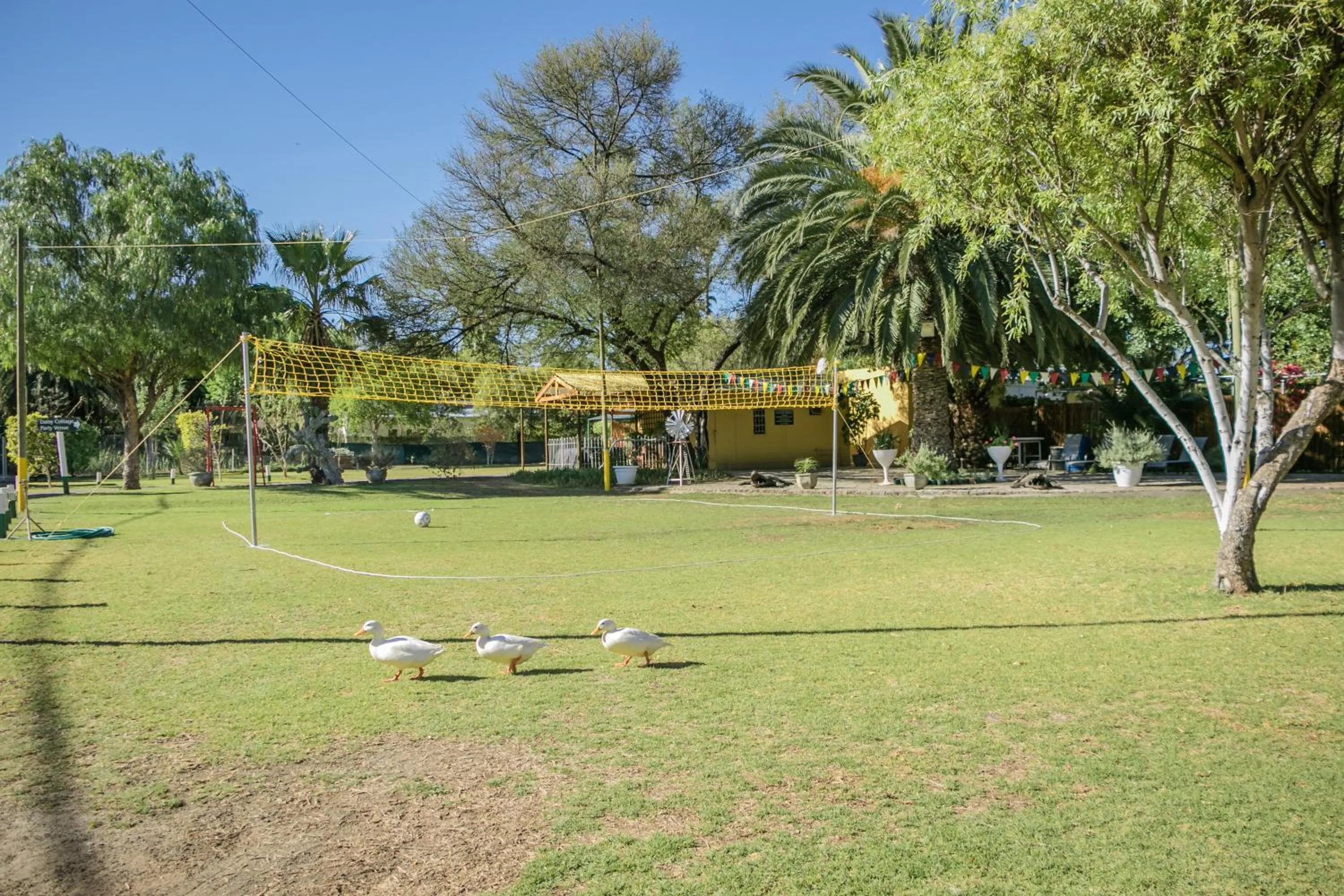 Property building in Profcon Resort