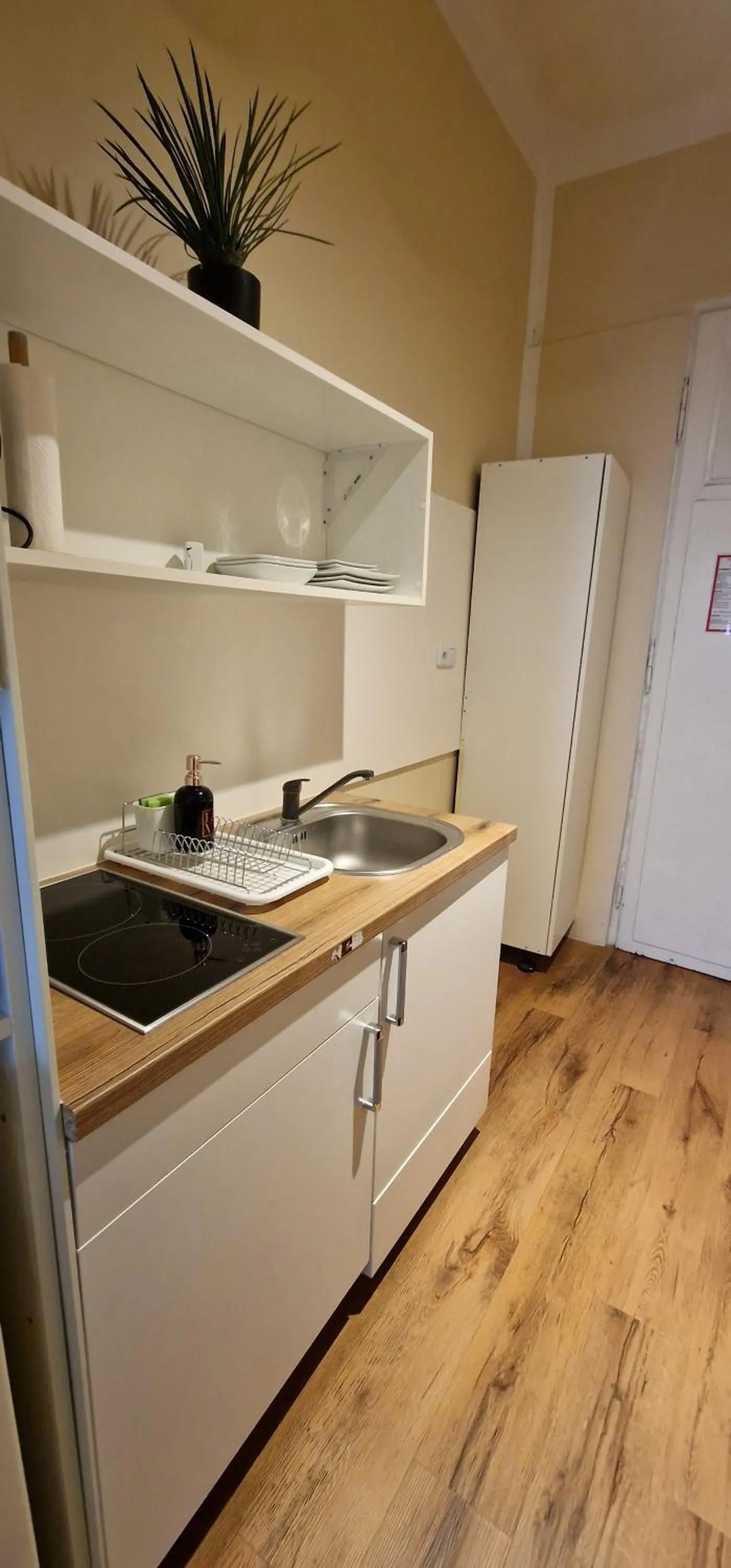 Kitchen or kitchenette in Aparthotel LAAERBERG