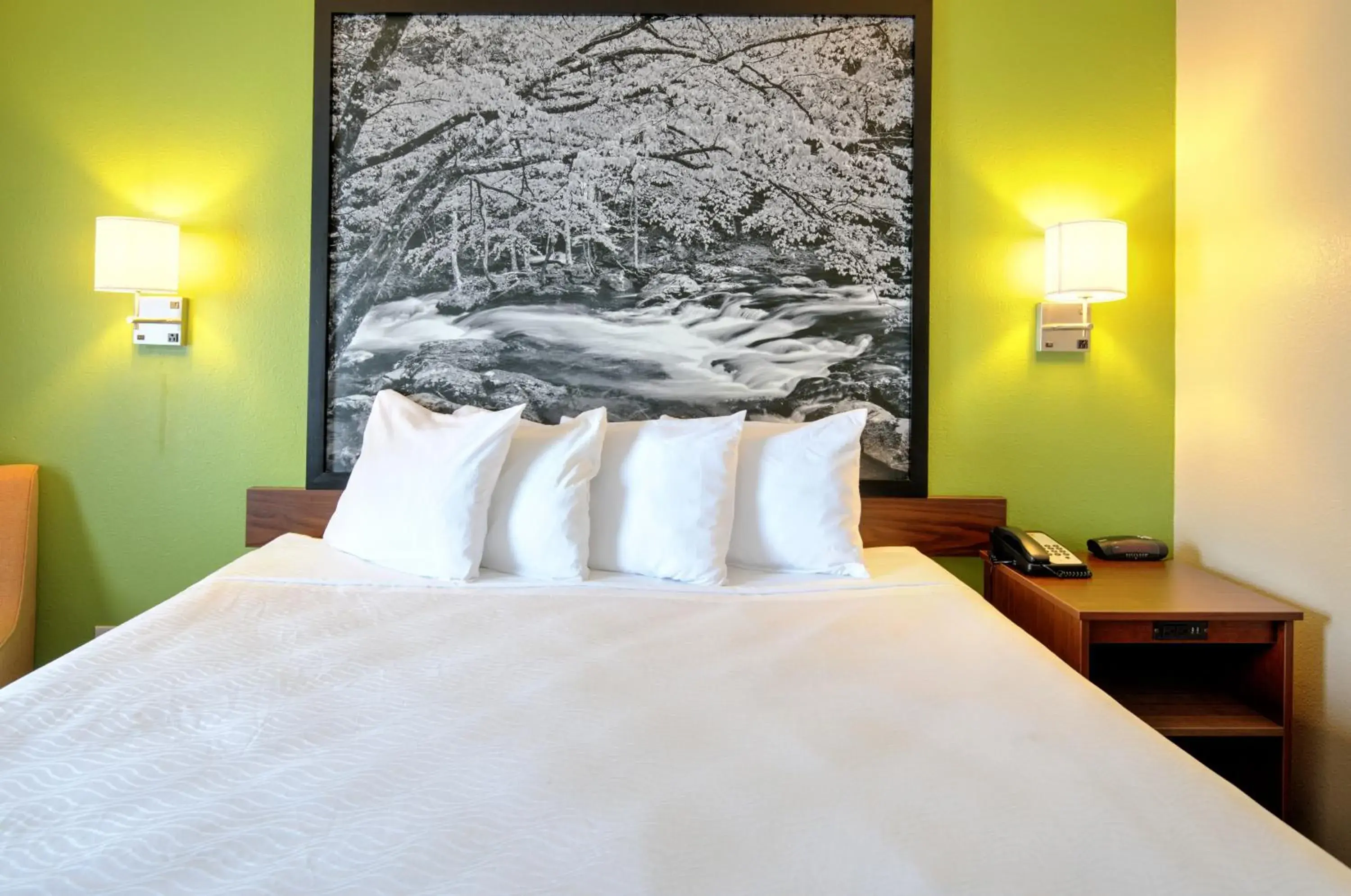 Bed in Super 8 by Wyndham Knoxville West/Farragut Bed in Super 8 by Wyndham Knoxville West/Farragut