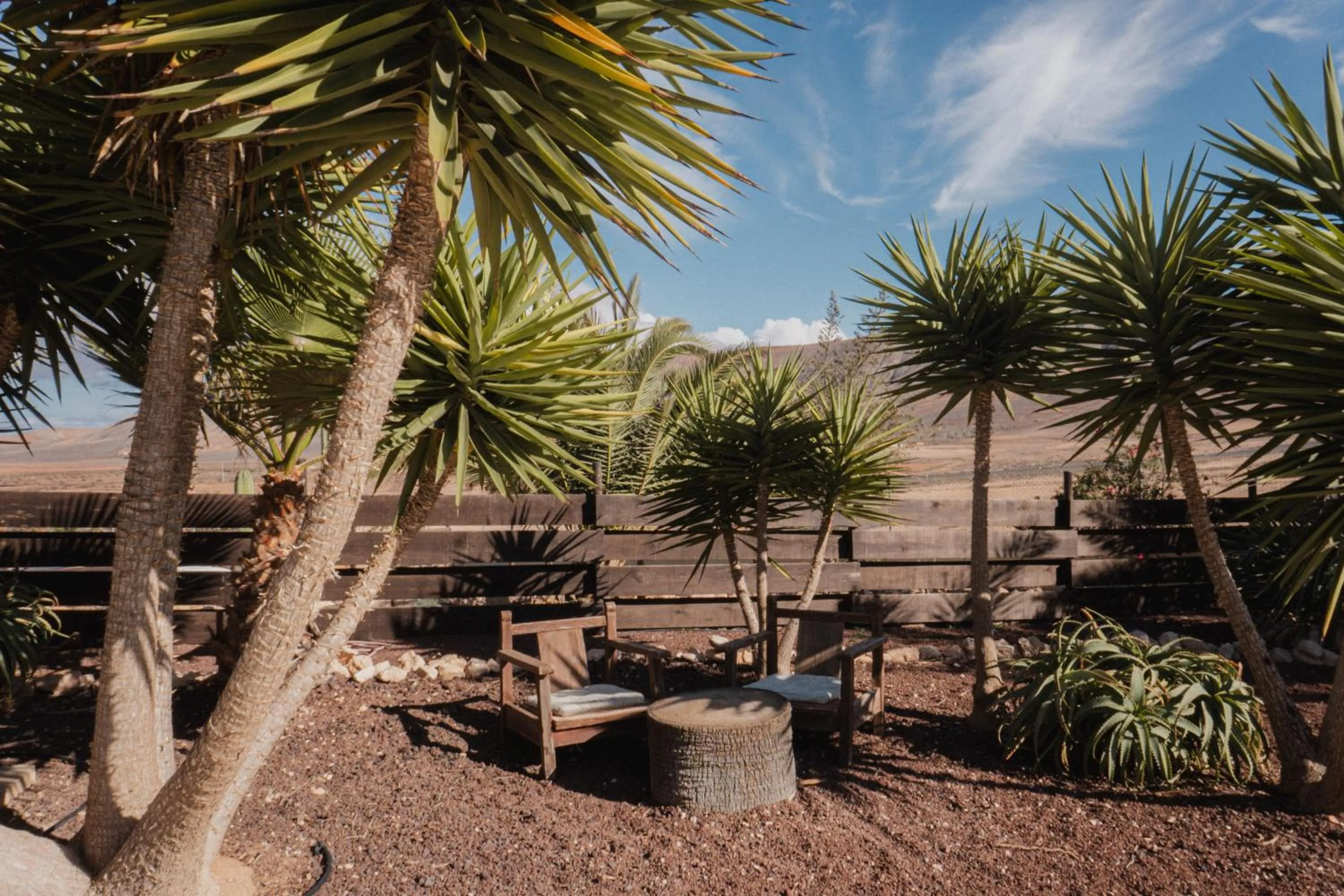 Garden in Villa Upupa