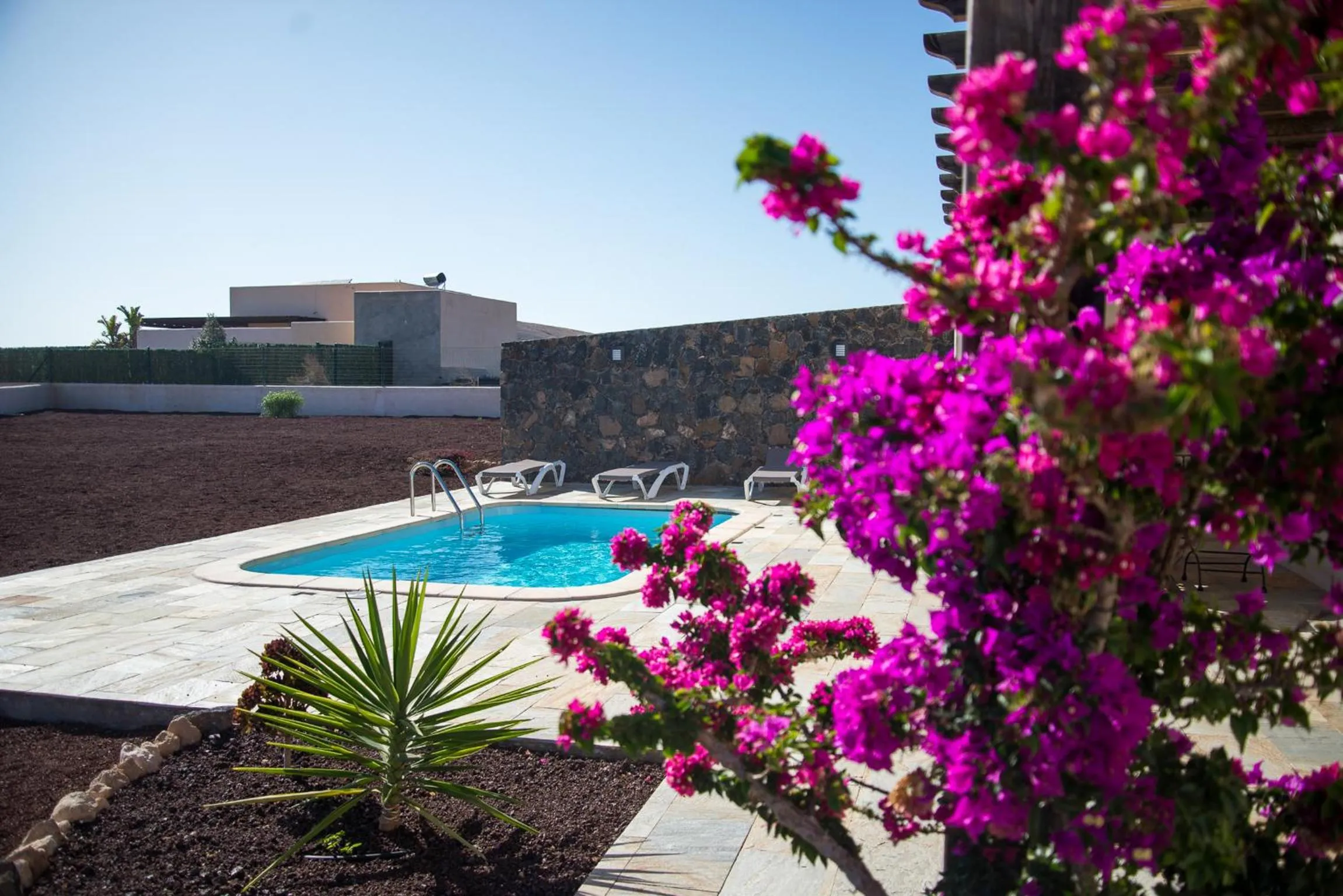 Pool view in Villa Upupa