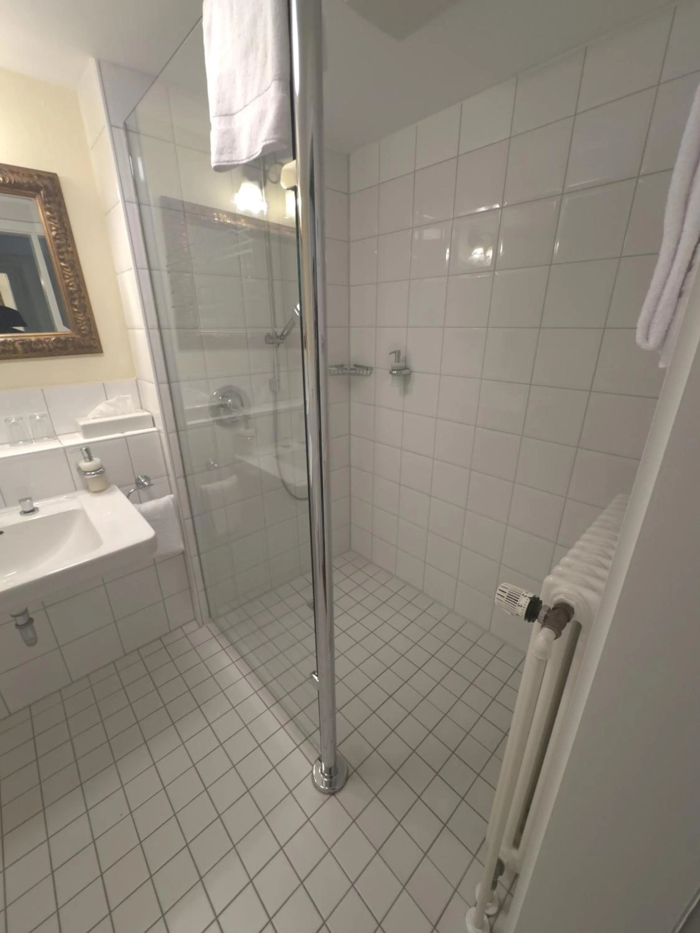 Shower in Hotel Landhaus Milser