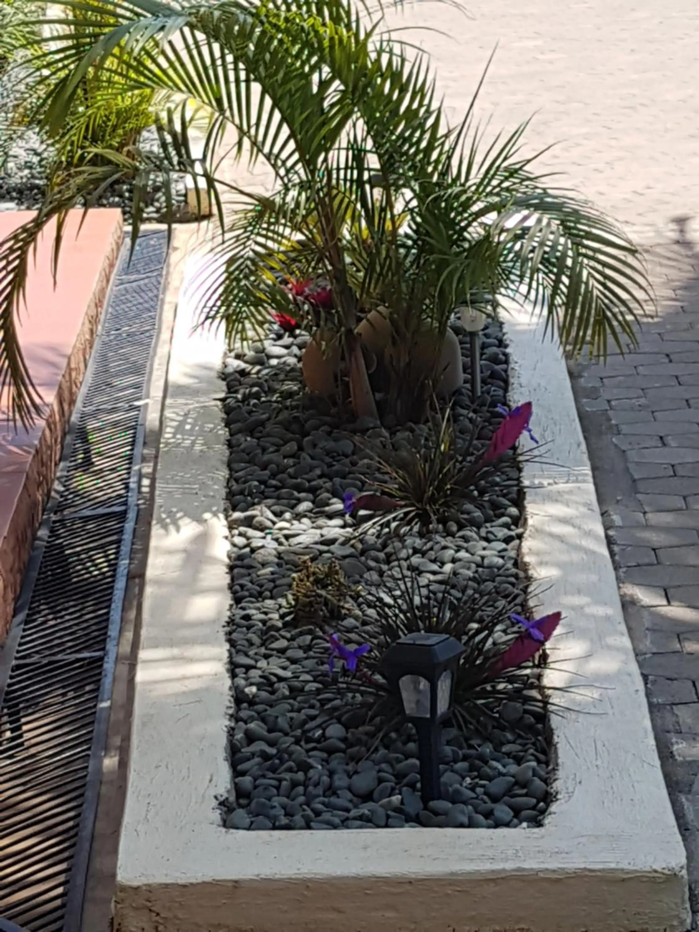 Sheevy"s Bed N Breakfast