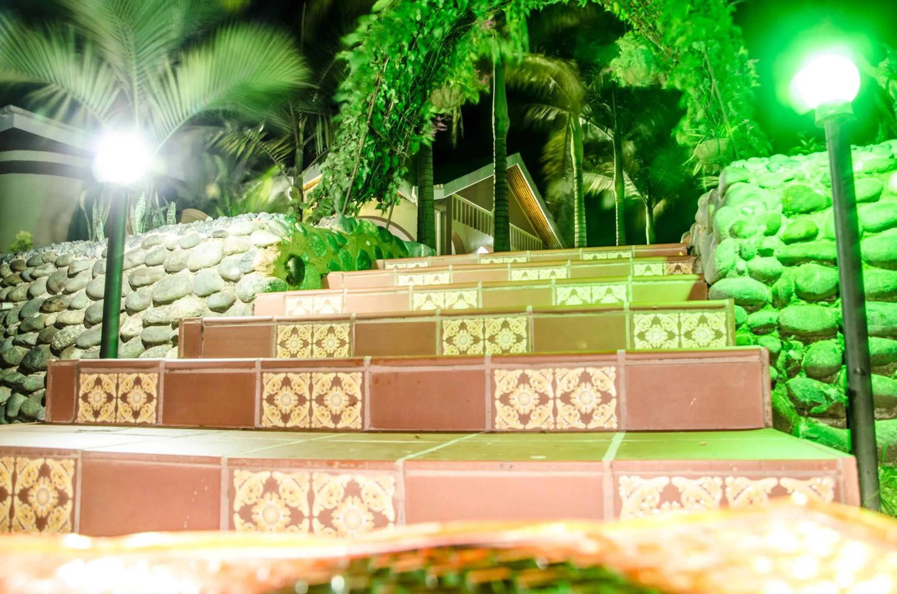 Garden in Sheevy"s Bed N Breakfast