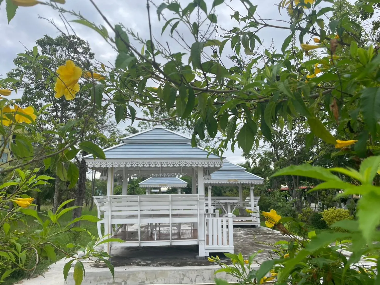 Garden in H2DO Hotel