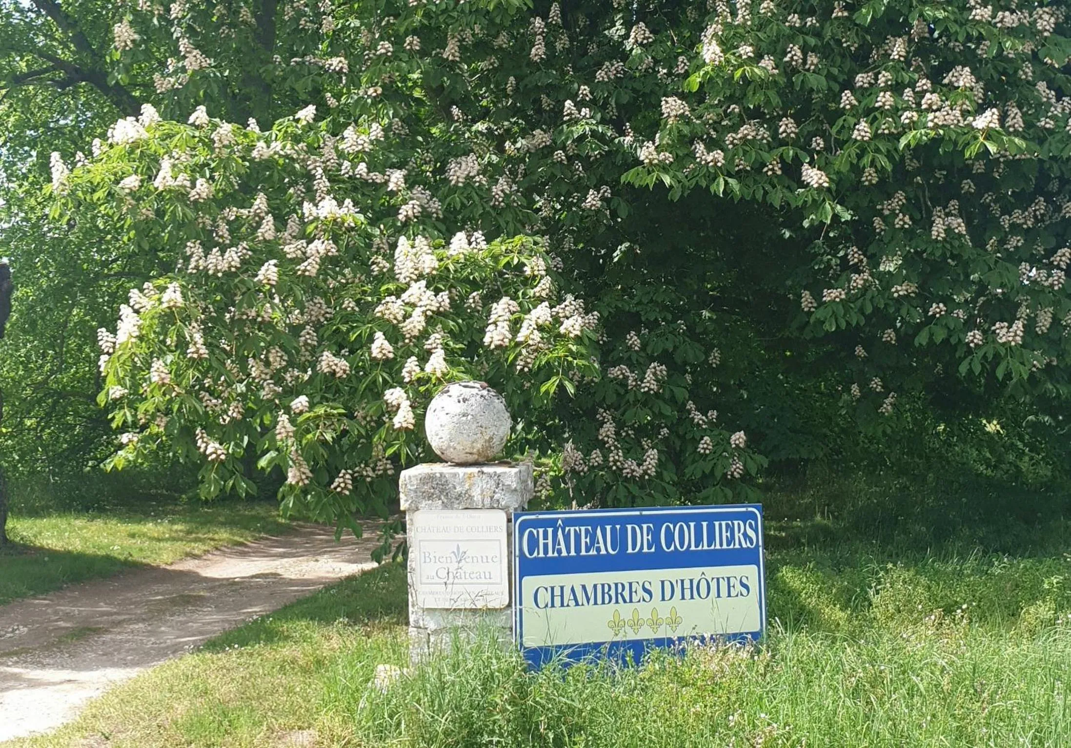 Other in Château de Colliers