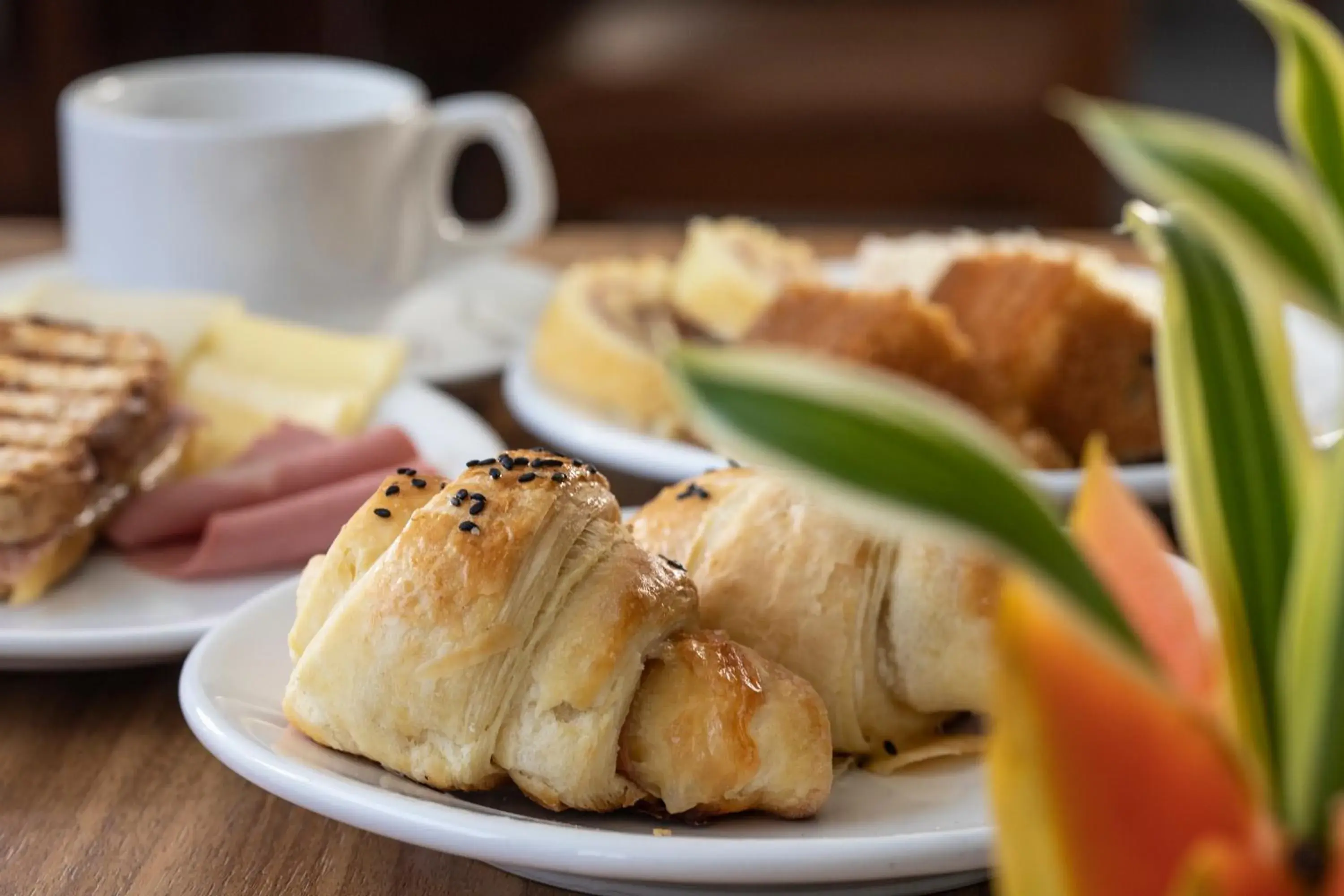 Restaurant/places to eat in Hotel da Costa By Nobile Restaurant/places to eat in Hotel da Costa By Nobile