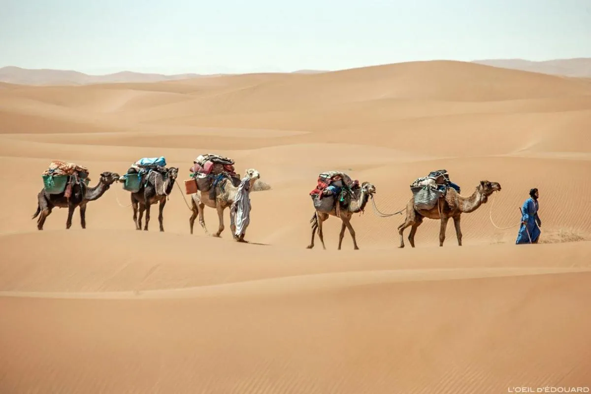 Camp Sahara Holidays