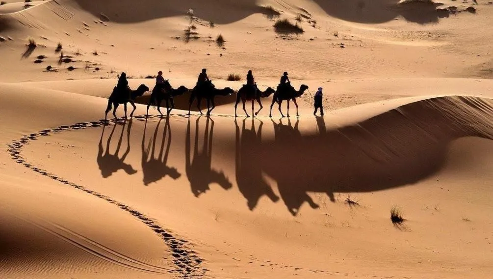 Activities in Camp Sahara Holidays