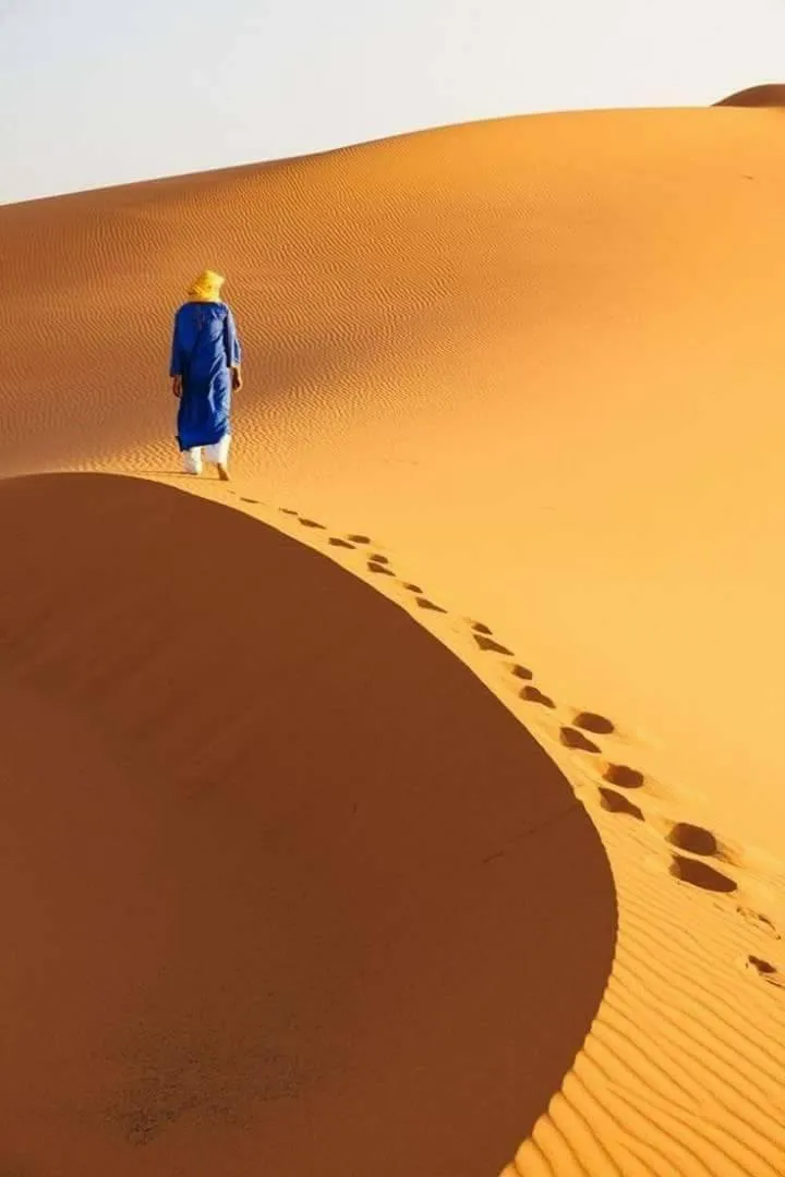 Camp Sahara Holidays