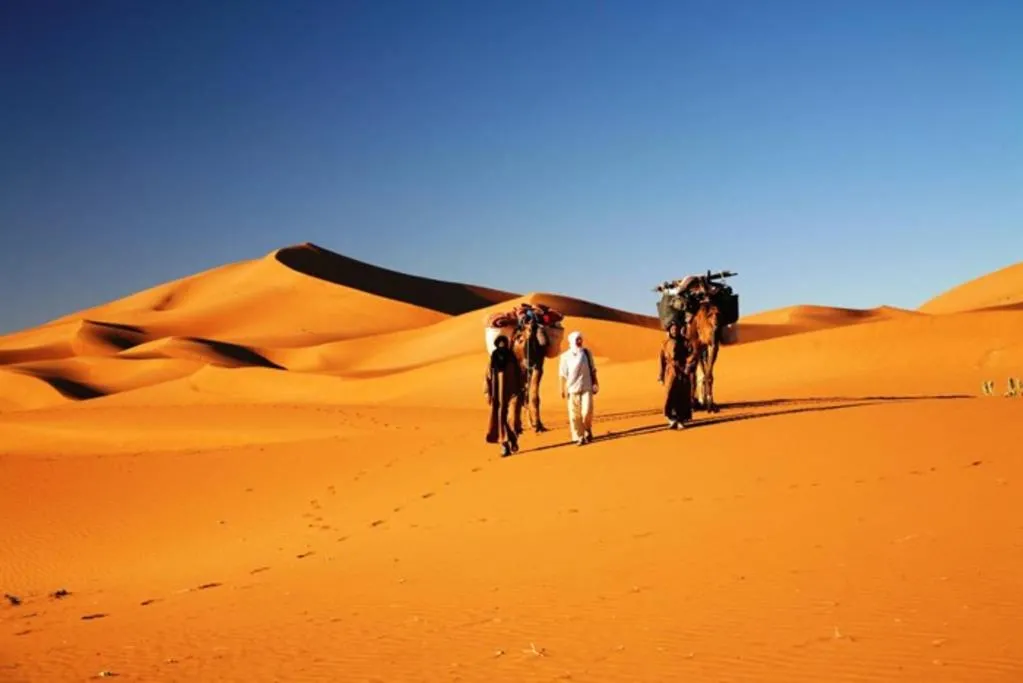 Day in Camp Sahara Holidays