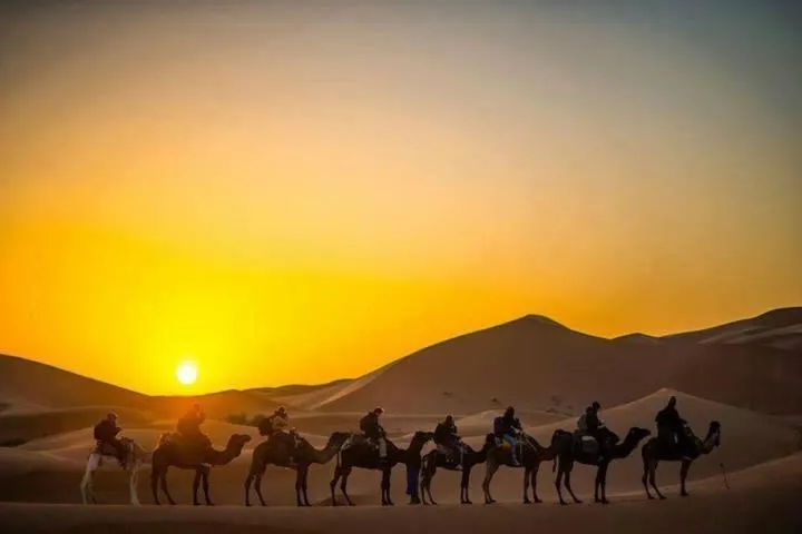 Camp Sahara Holidays
