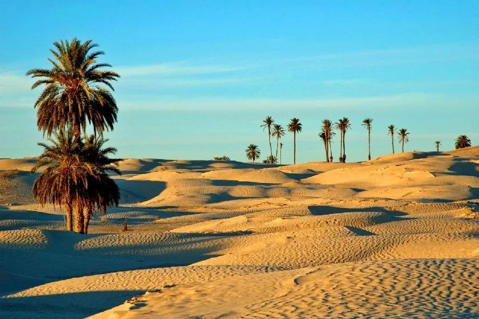 Camp Sahara Holidays