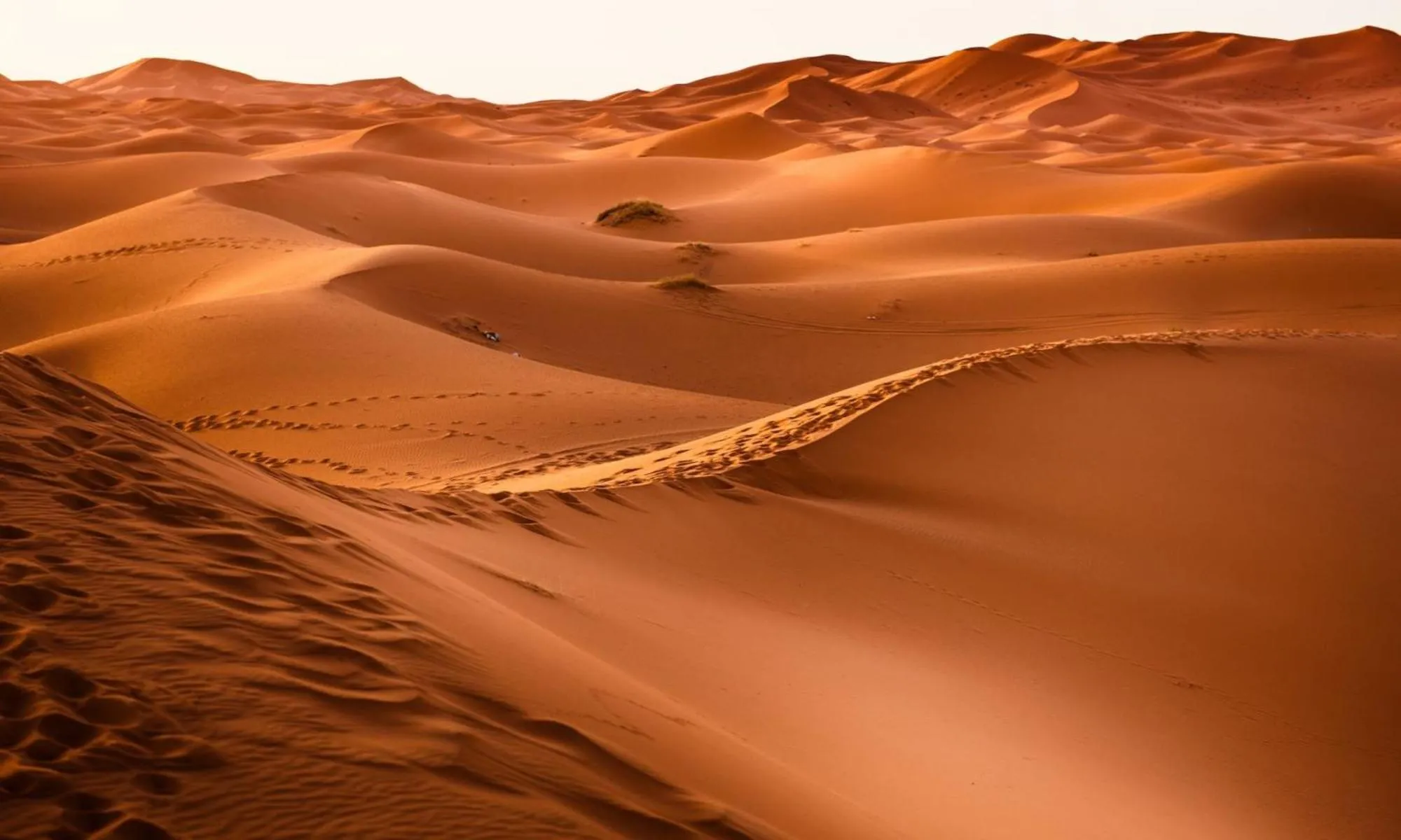 Camp Sahara Holidays