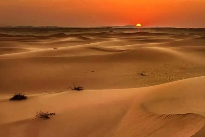 Camp Sahara Holidays