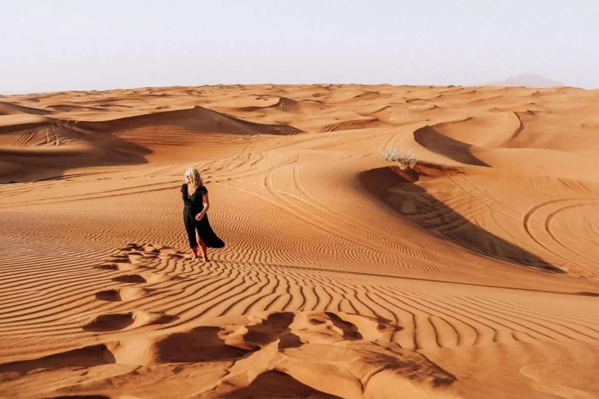 Camp Sahara Holidays
