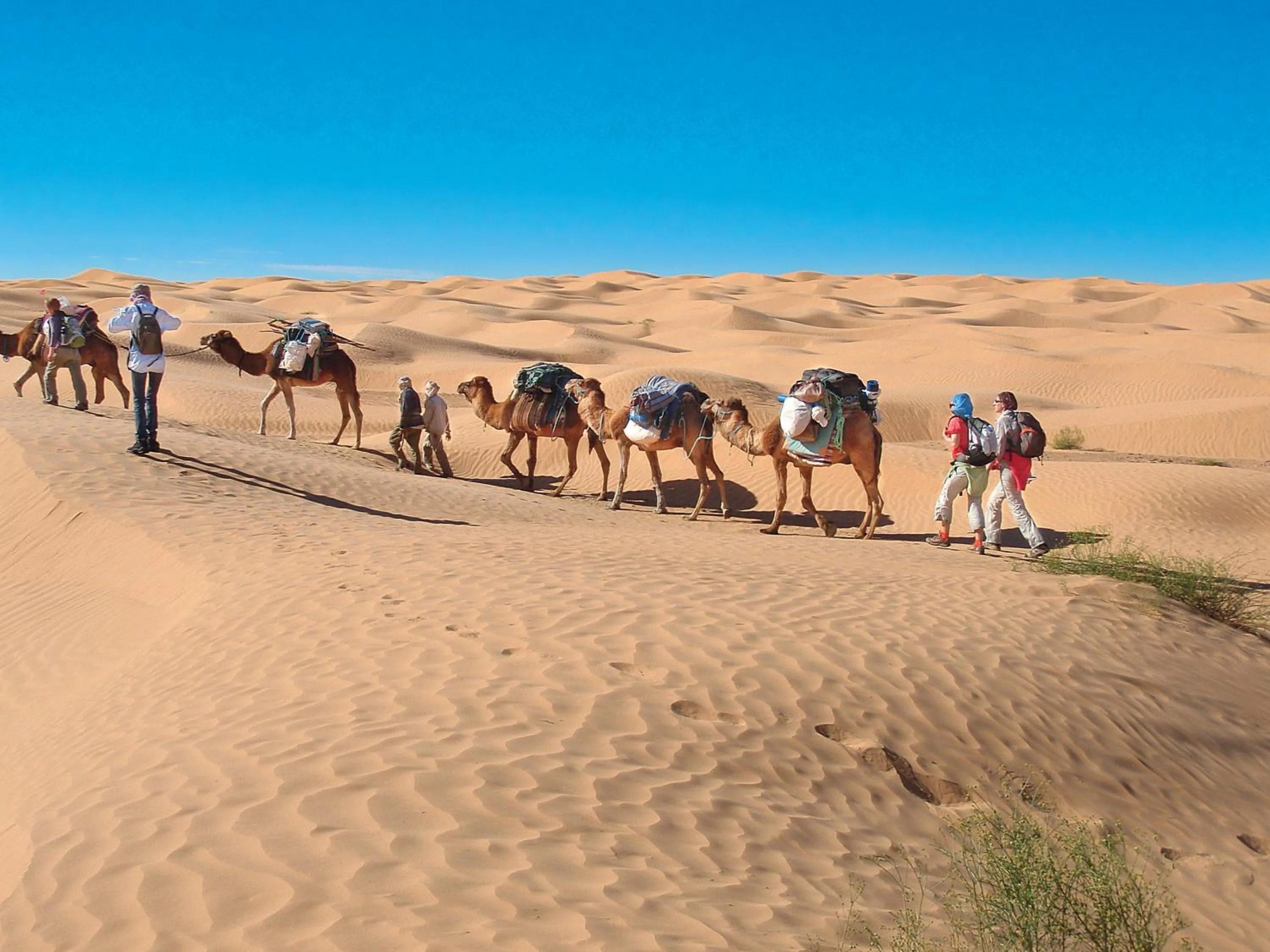Camp Sahara Holidays