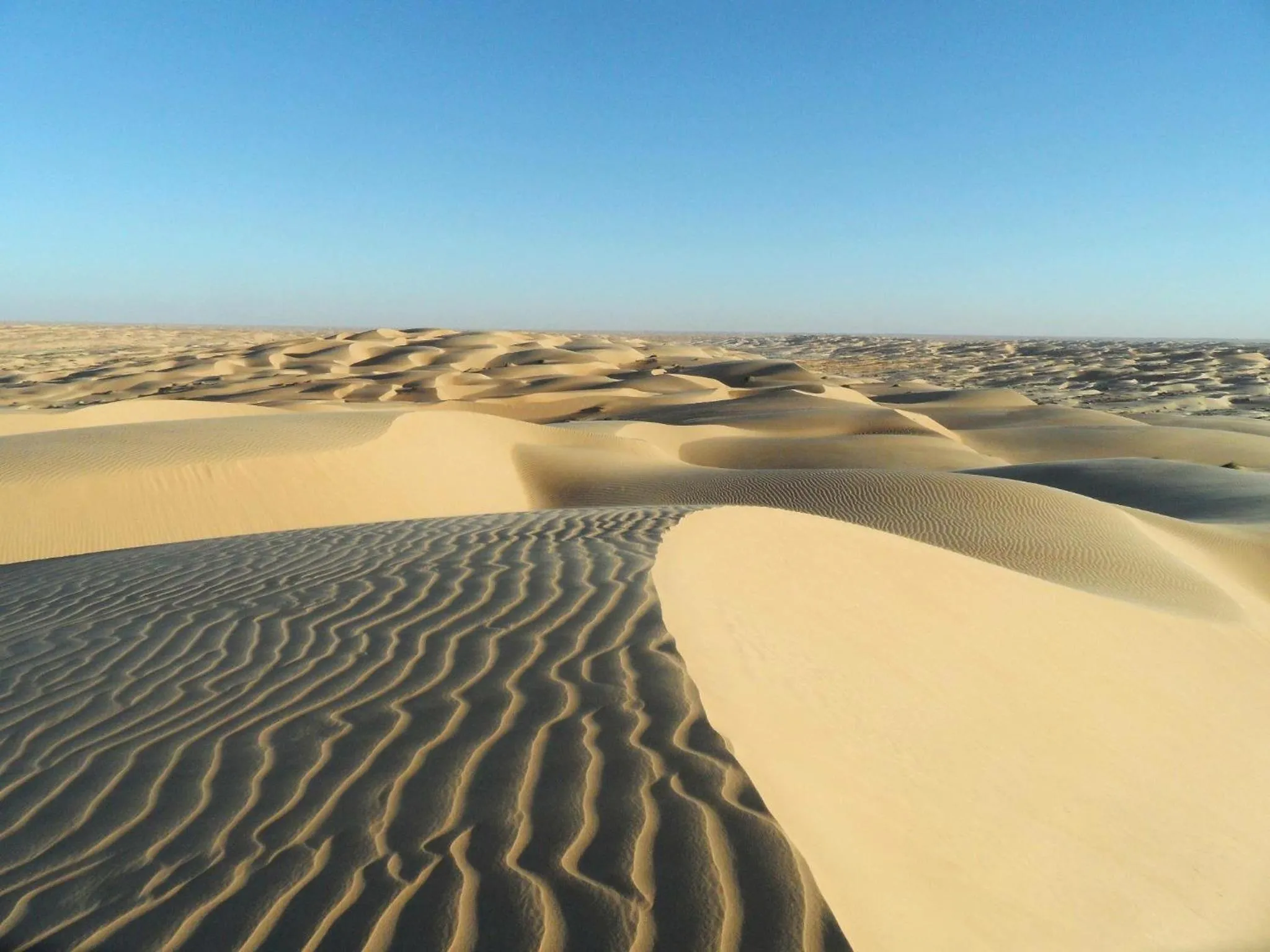 Camp Sahara Holidays