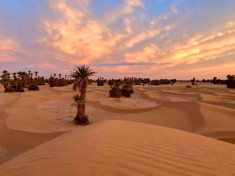 Camp Sahara Holidays