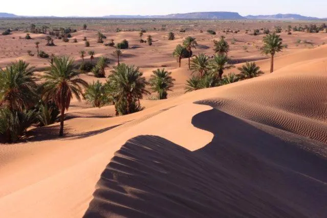 Camp Sahara Holidays