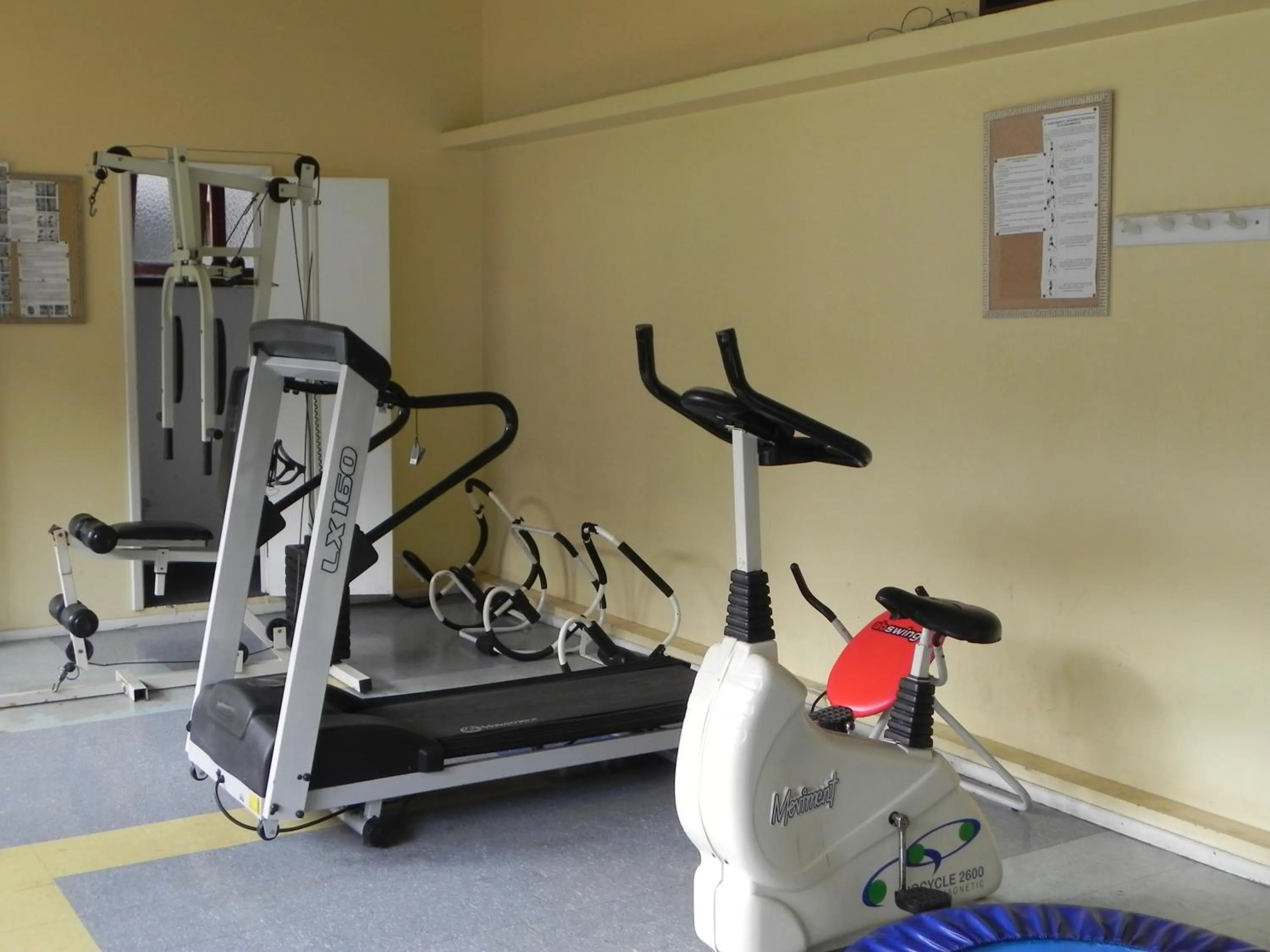 Fitness centre/facilities in Hotel Bucsky