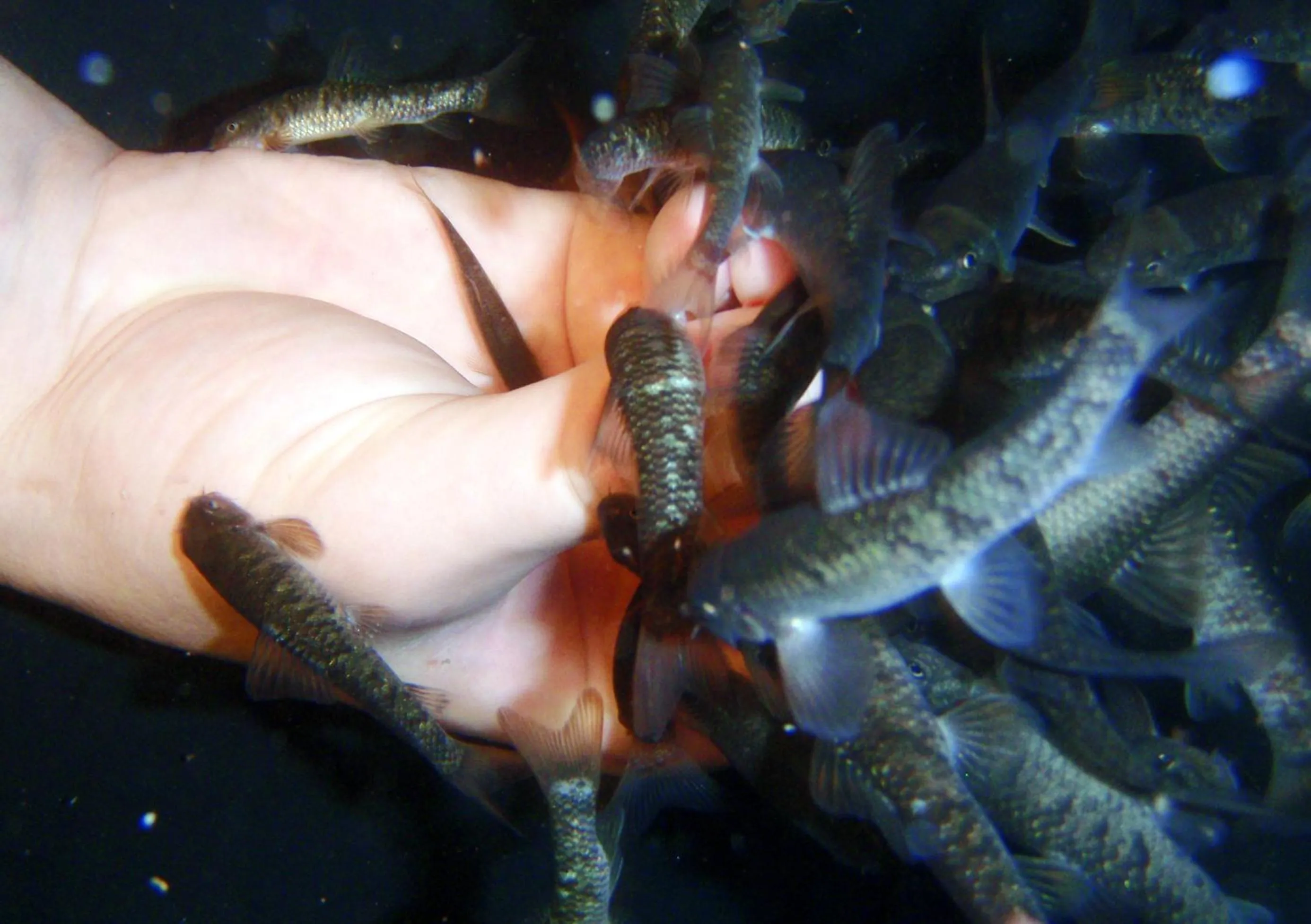 Spa and wellness centre/facilities in Hotel Krakonoš