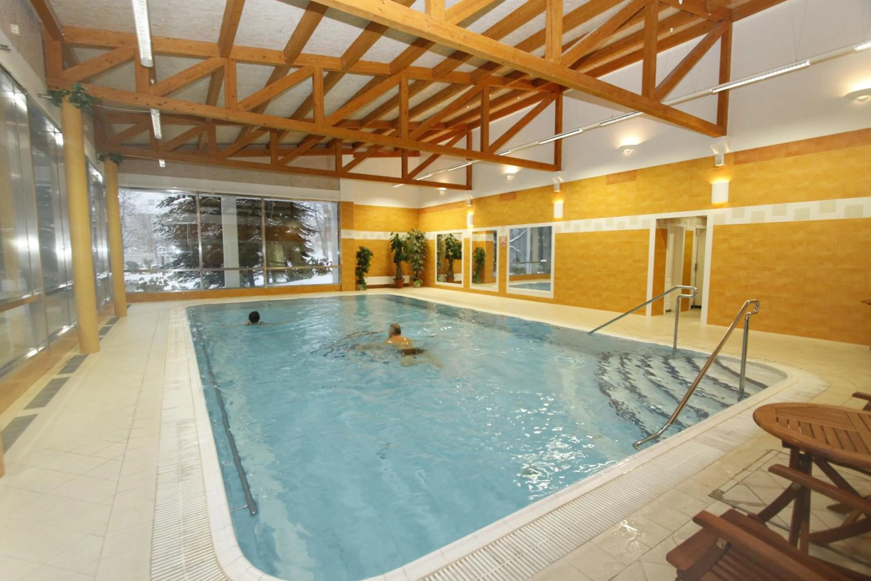 Swimming pool in Hotel Krakonoš
