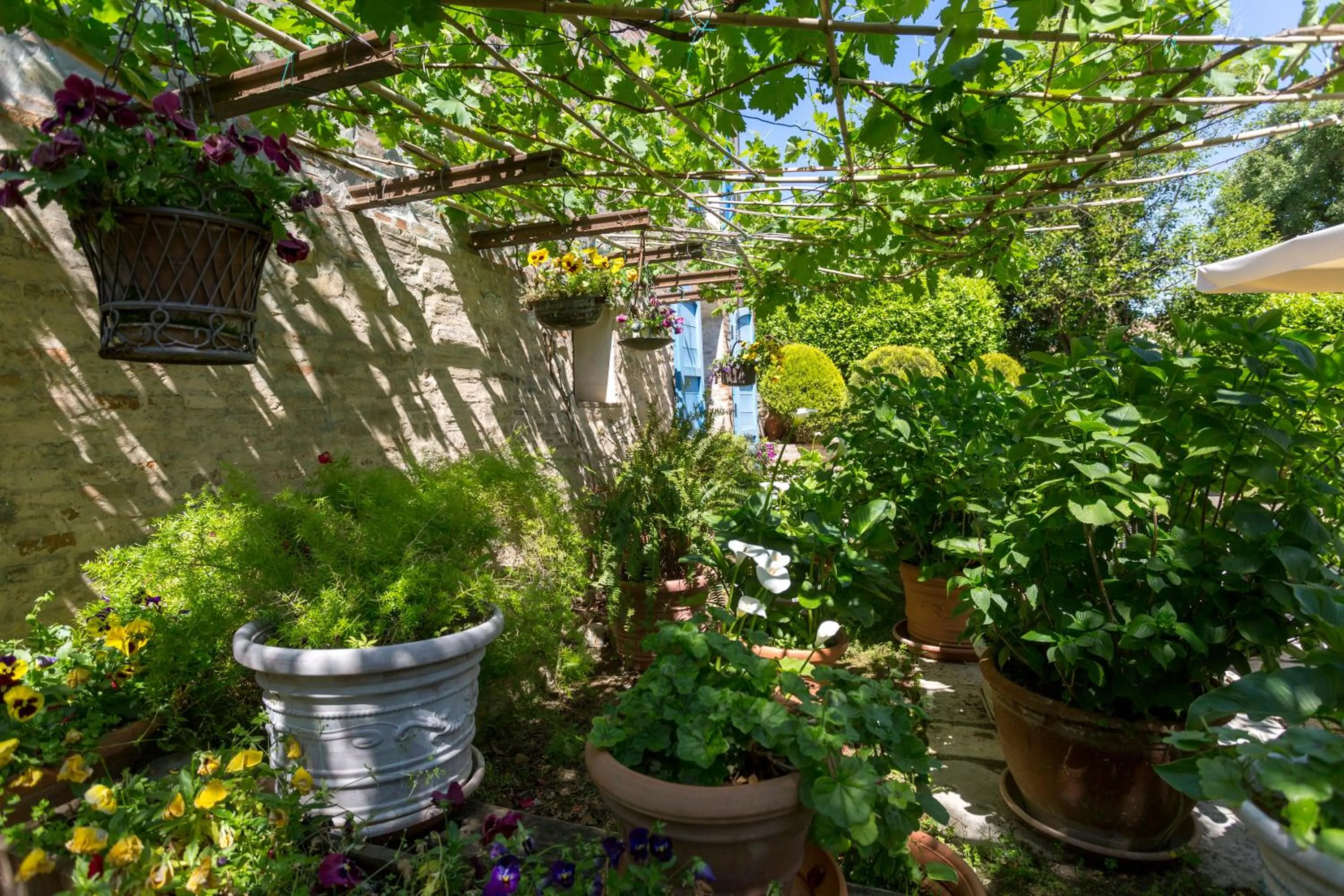 Garden in Il Villino Hotel & SPA