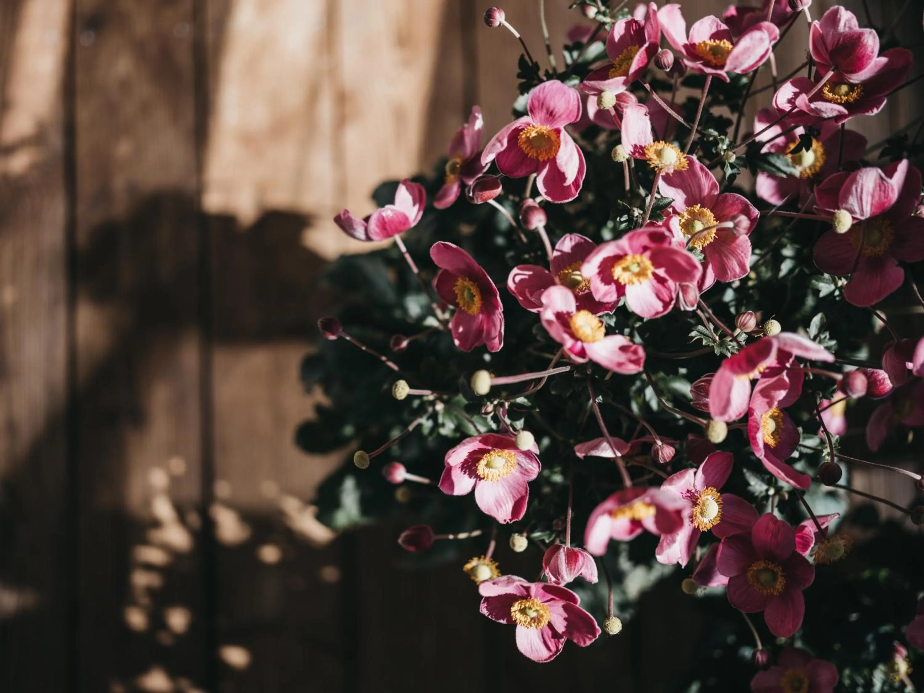 Day in VAYA Terrazena Serfaus