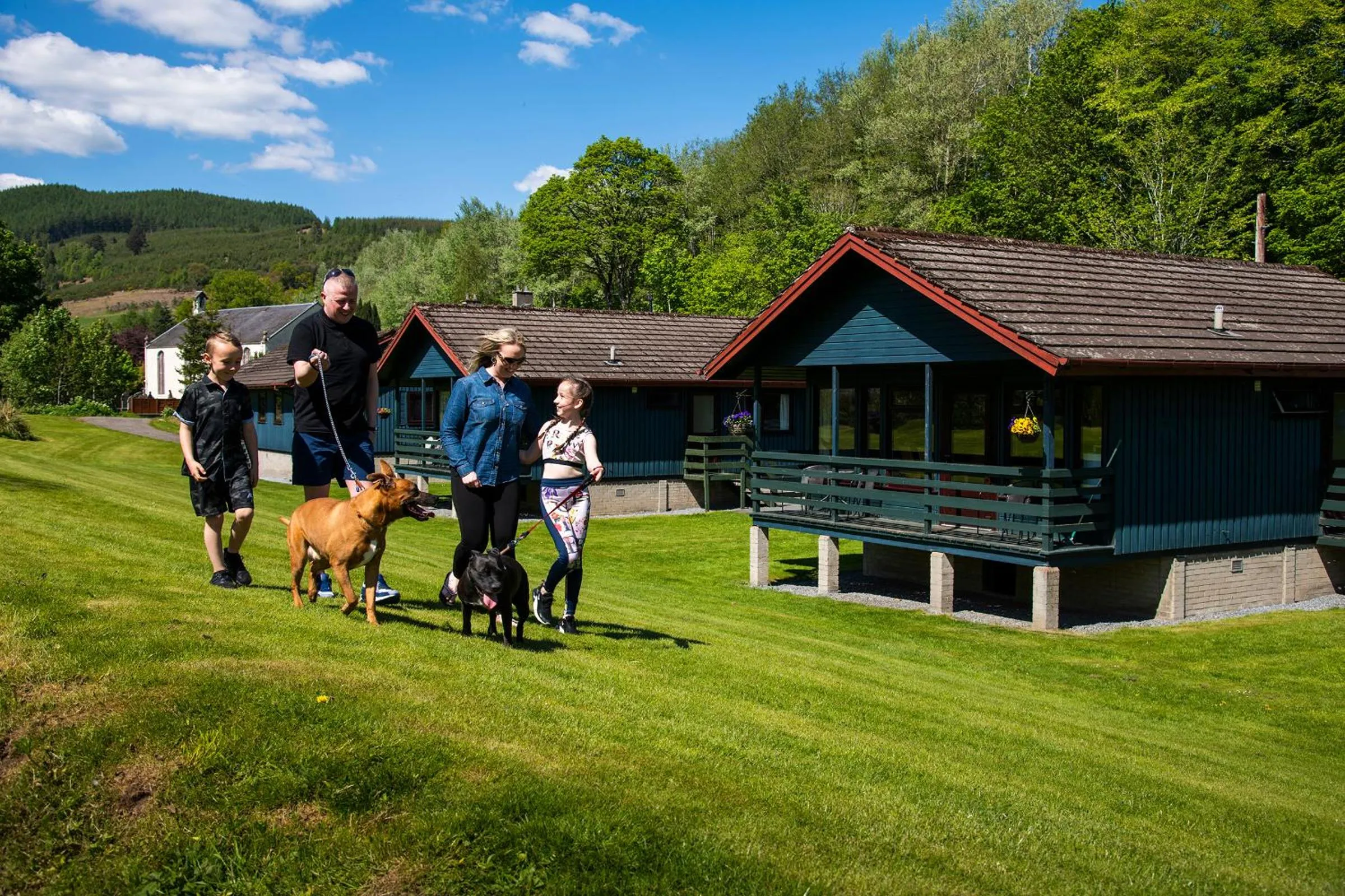 Day in Logierait Pine Lodges