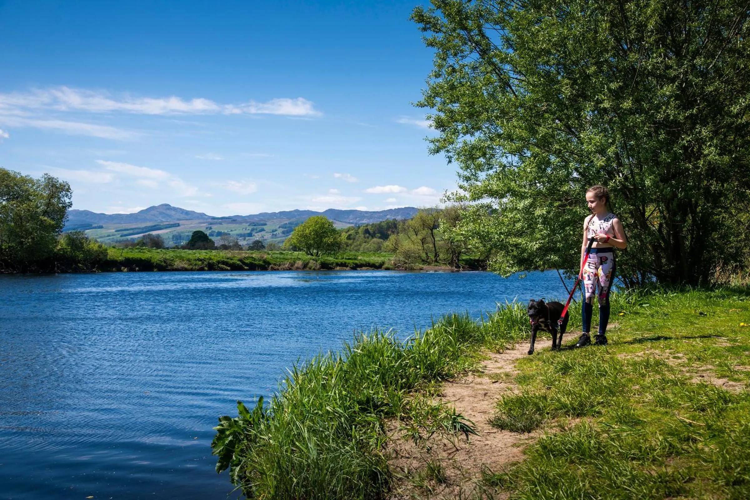 Day in Logierait Pine Lodges