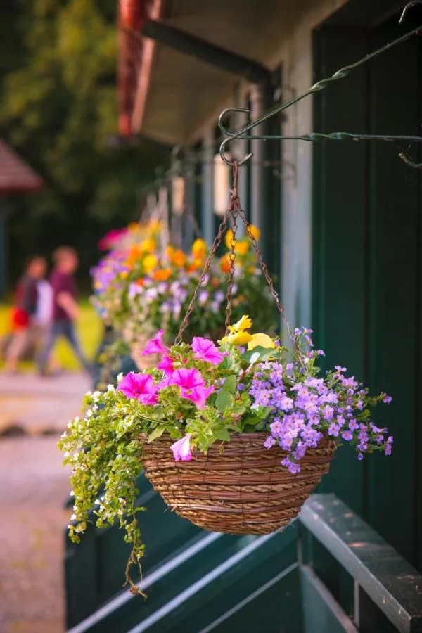 Spring in Logierait Pine Lodges