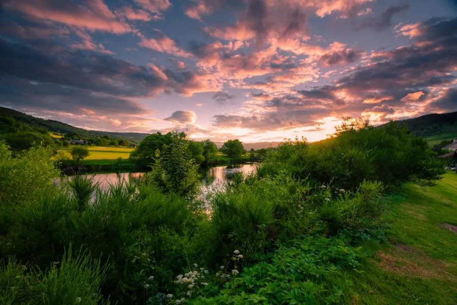 Natural landscape in Logierait Pine Lodges
