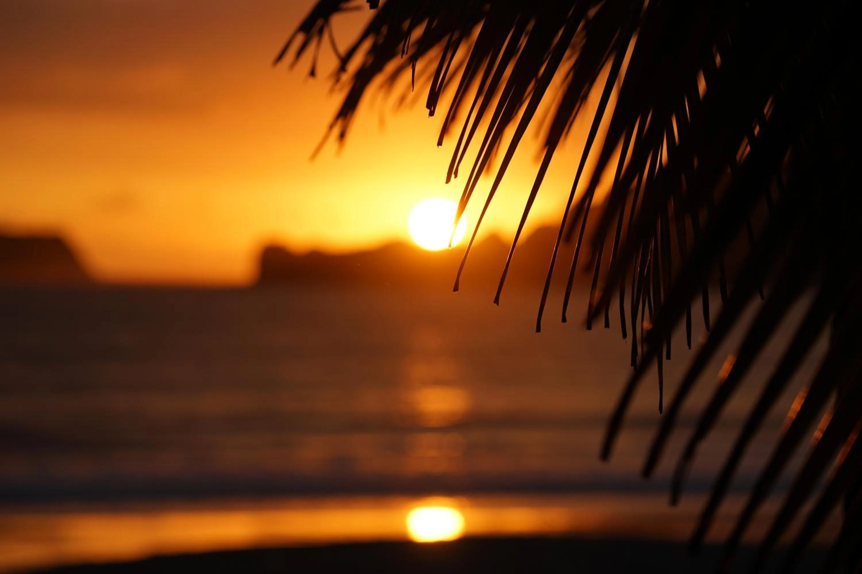 Beach in Villas Welcome to Heaven