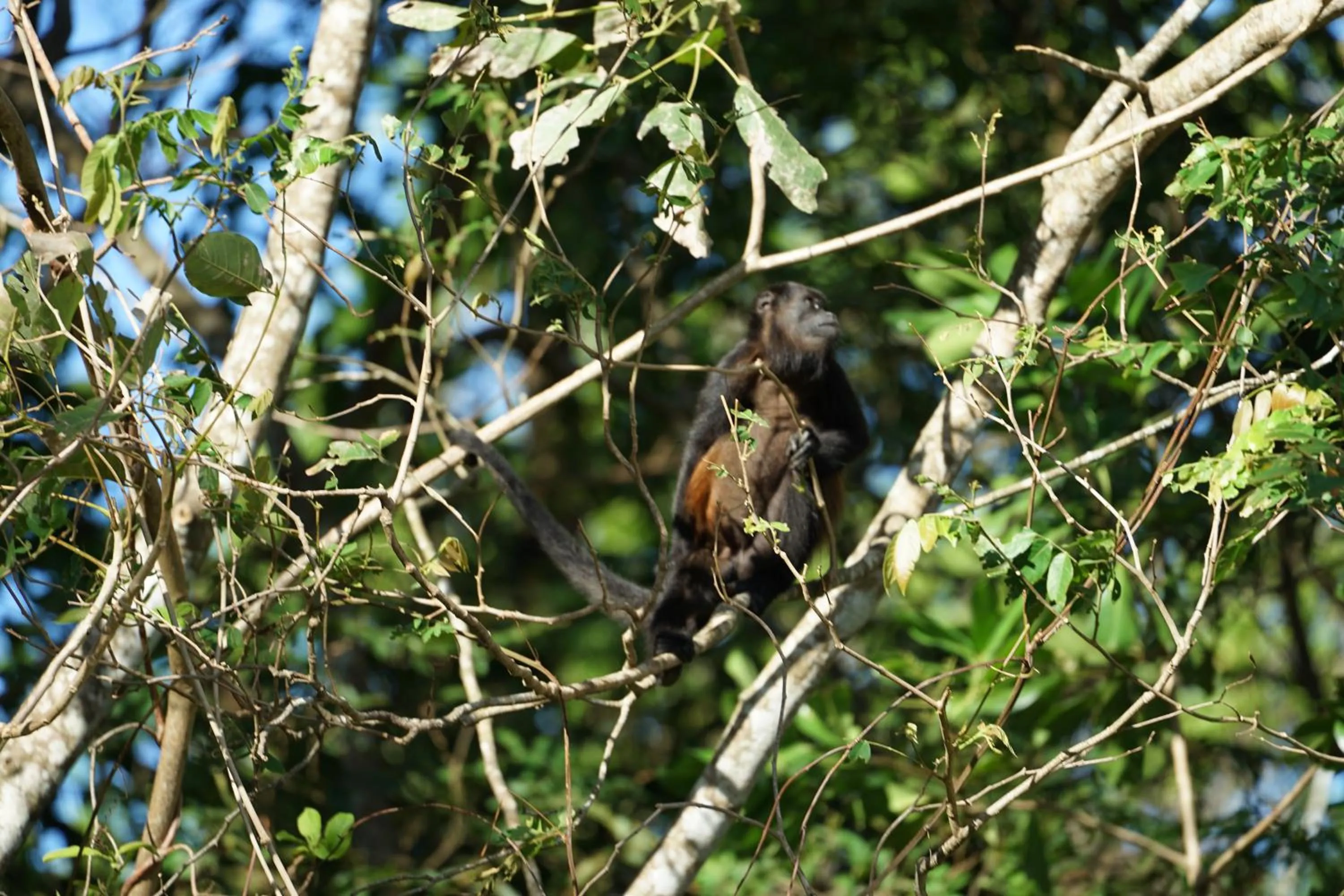 Day in Villas Welcome to Heaven