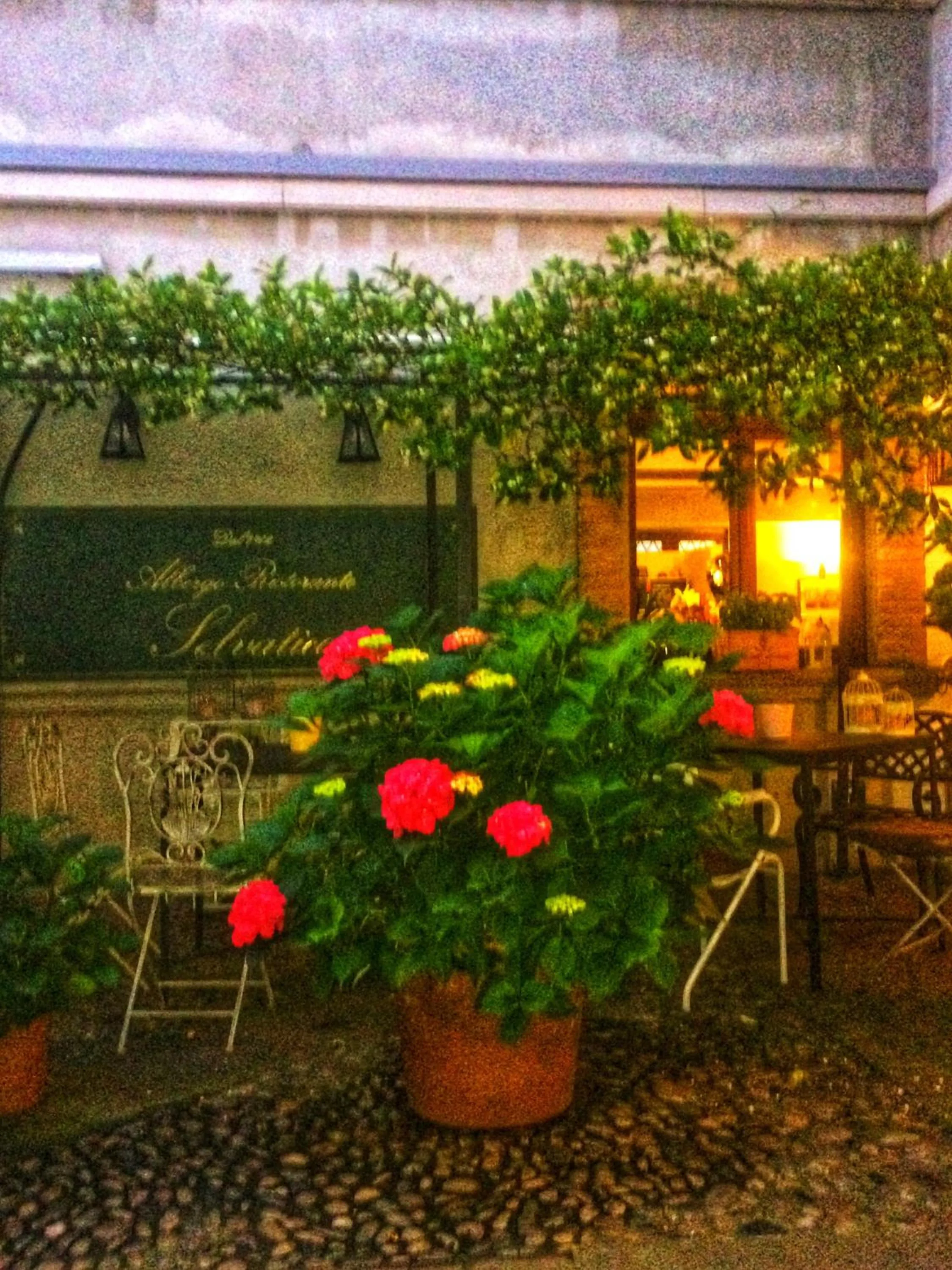 Albergo & Ristorante Selvatico