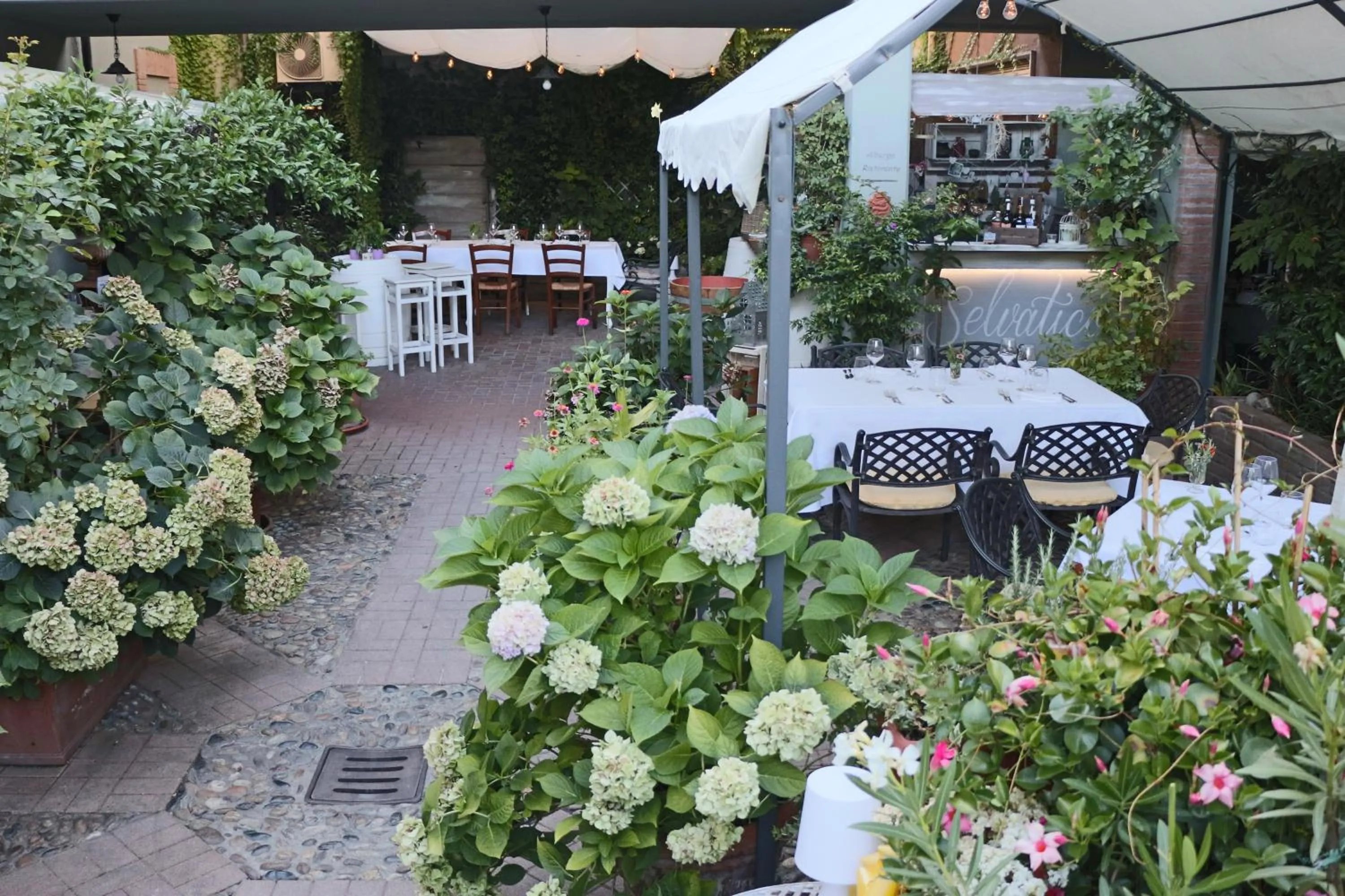 Albergo & Ristorante Selvatico